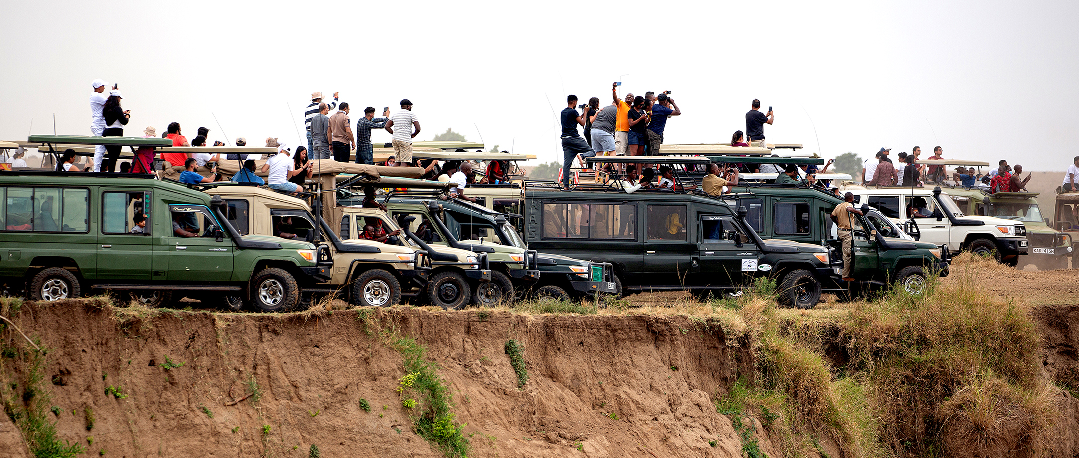 Selfie safari crisis as social media drives dangerous, unethical wildlife tourism
