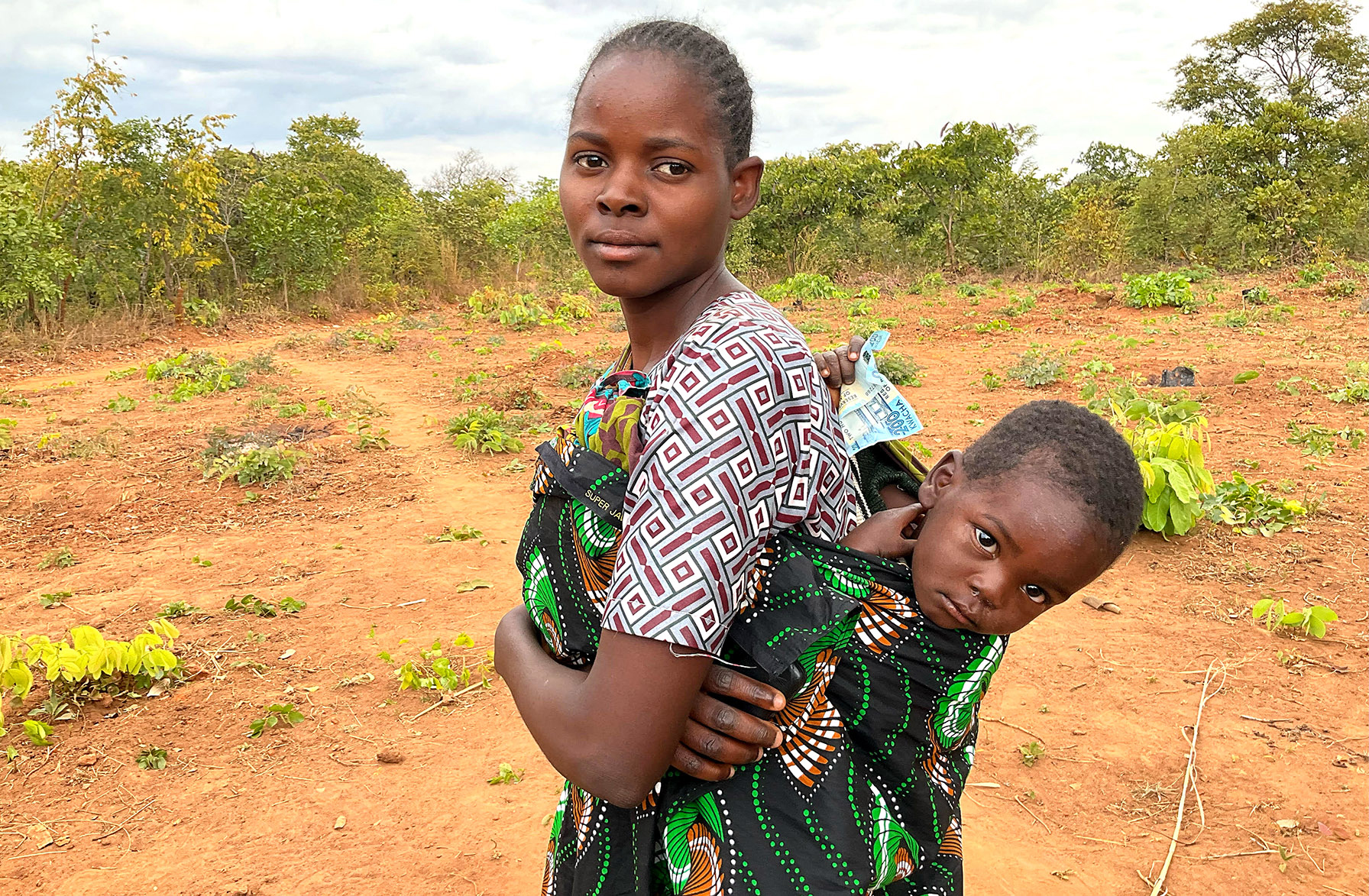 Appeal launched for human-wildlife conflict victims of botched Ifaw elephant translocation

