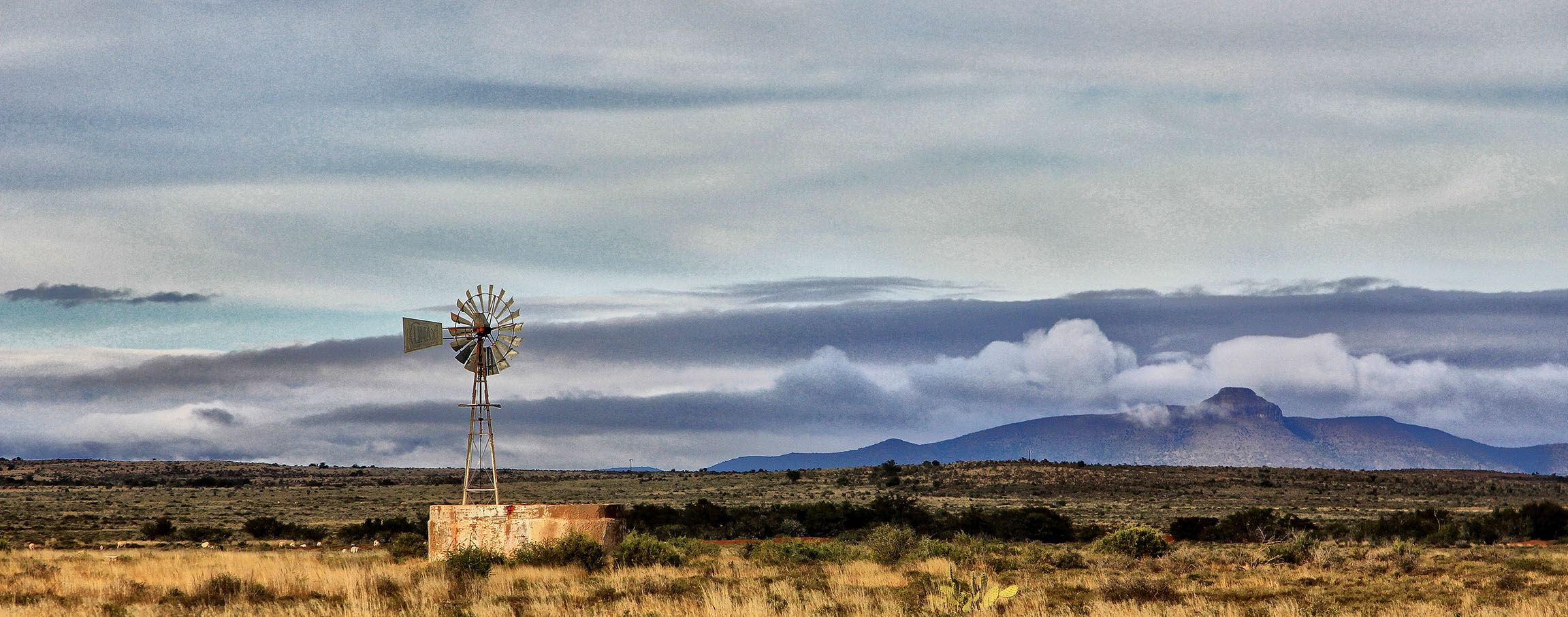 Weddings with lions, hotel monks and an accidental post office