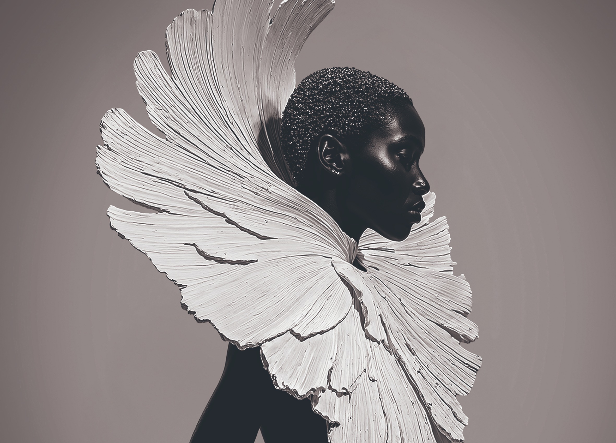 Creative wave from South Africa sweeps through Paris