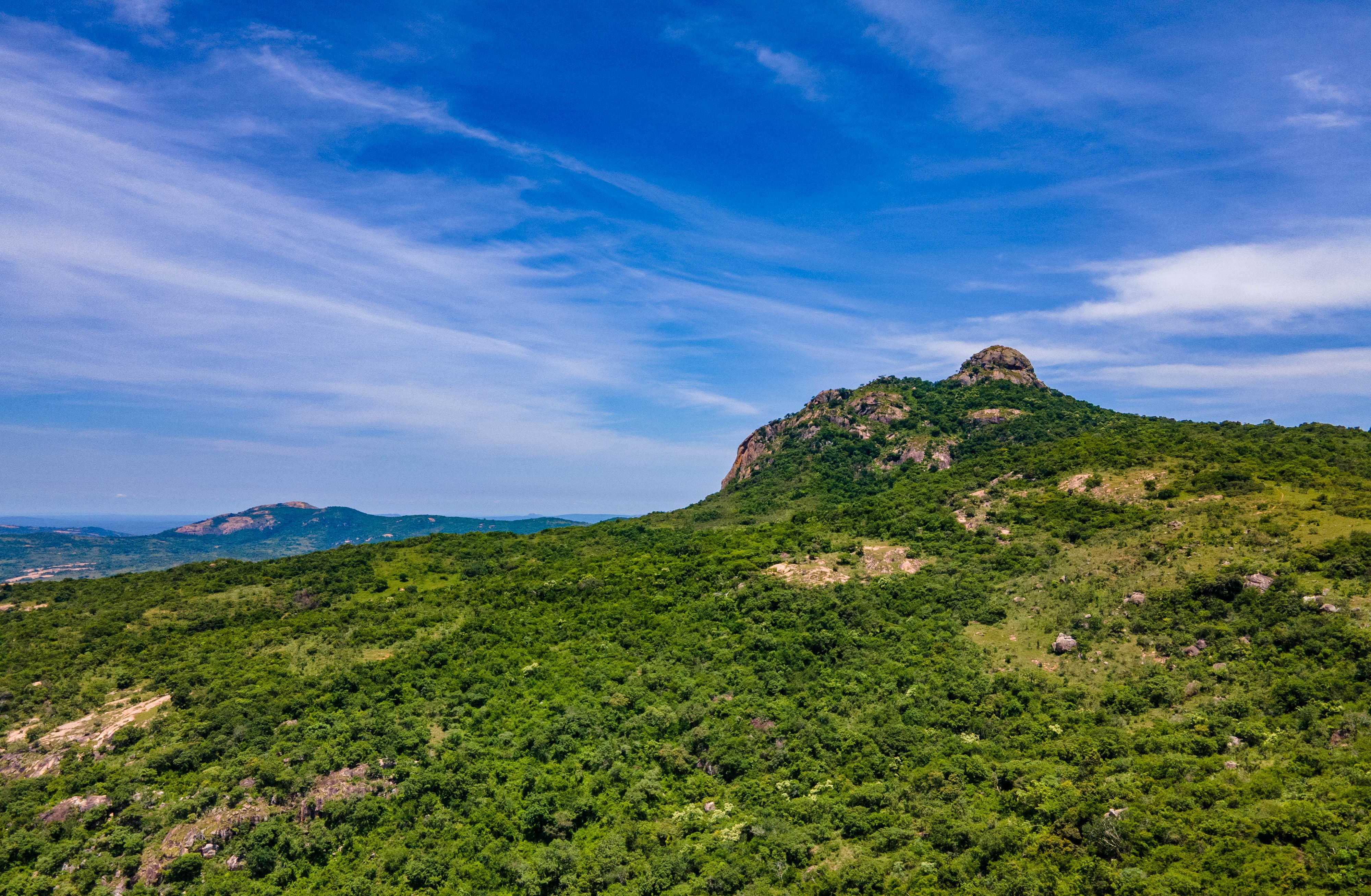 Zani White River (Photograph: Supplied by the author)