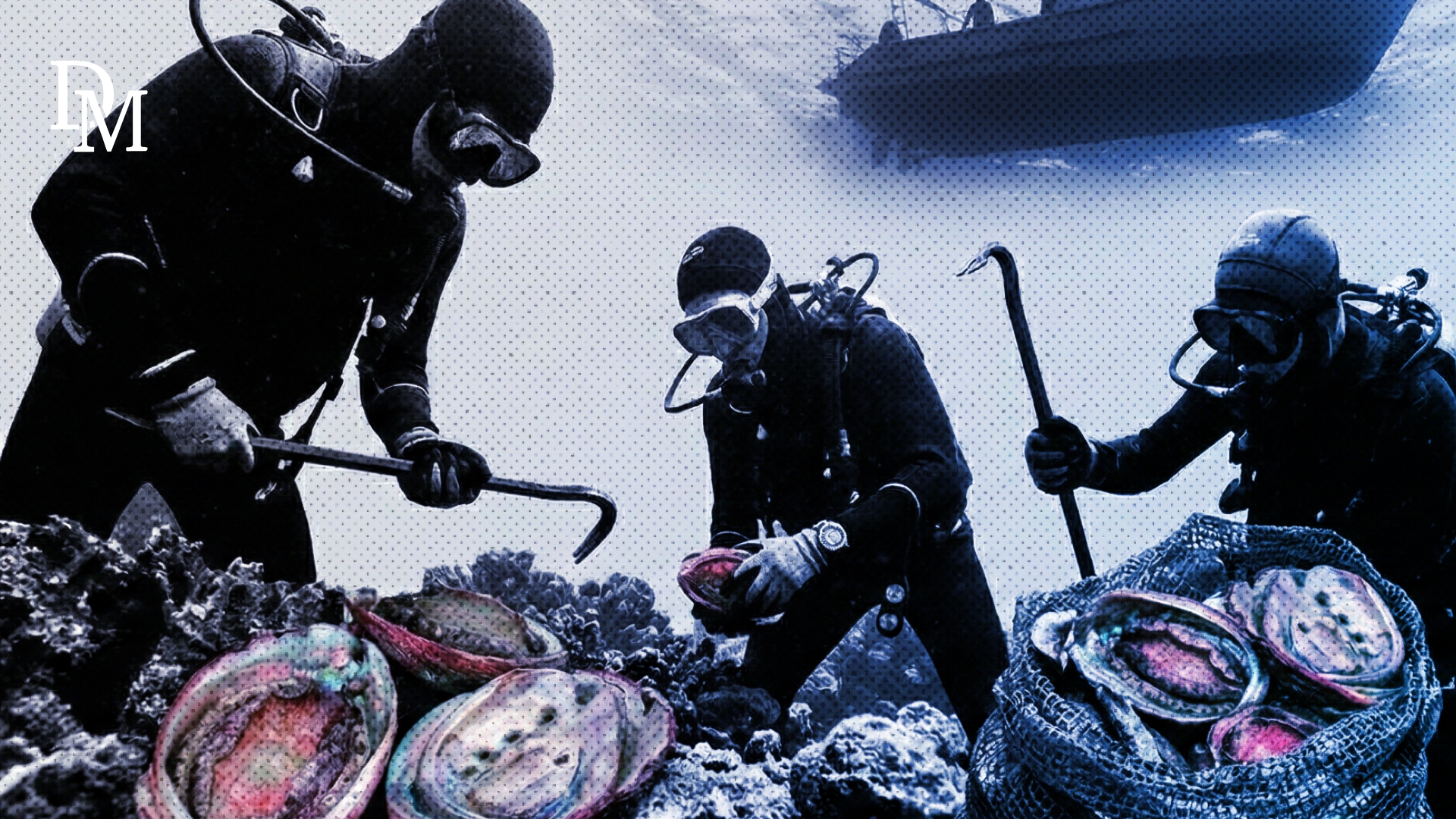 Watch – Inside South Africa’s billion-rand perlemoen underworld