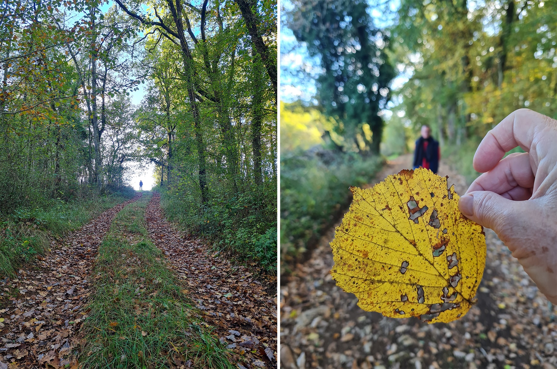 The autumn of my content, with raclette on the side