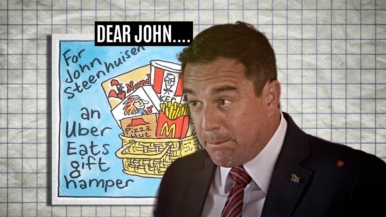 John Steenhuisen (Illustrative image: Daily Maverick)