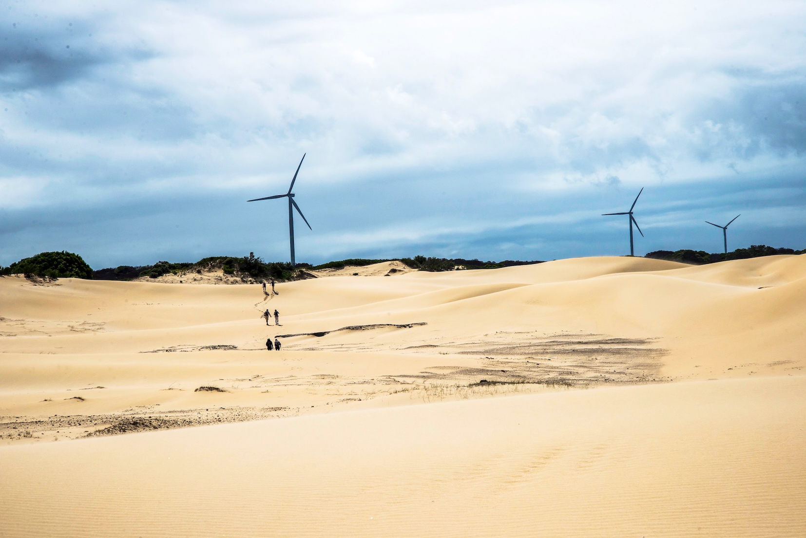 Rapid wind farm development just beyond the boundaries of Eskom’s consolidated Thyspunt properties has already created a large network of new powerlines. (Photo: John Yeld)