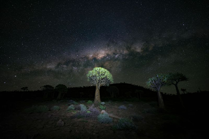 Karoo night. Photographer: CA Bezuidenhout