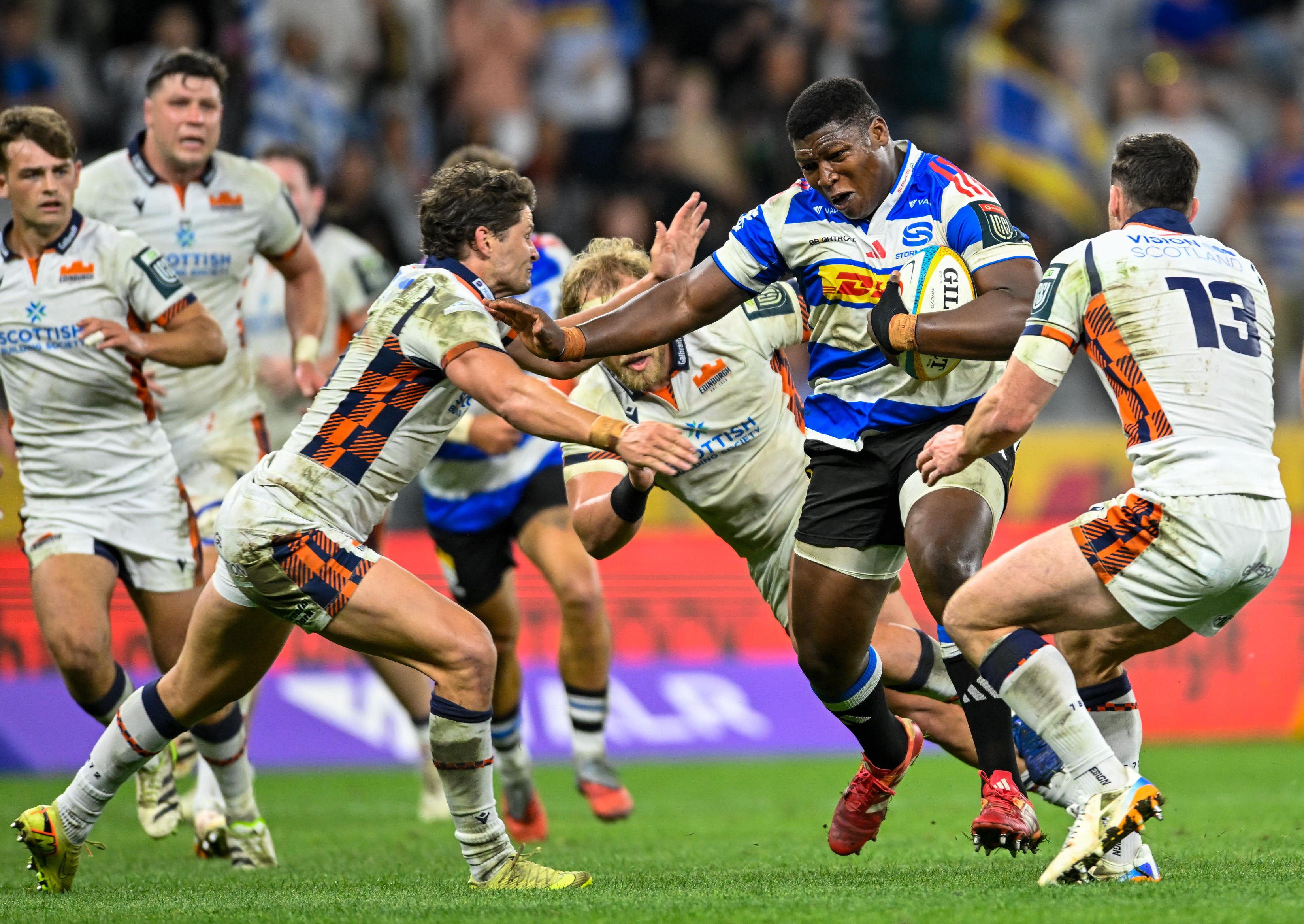 P47 SA Rugby Cardinelli