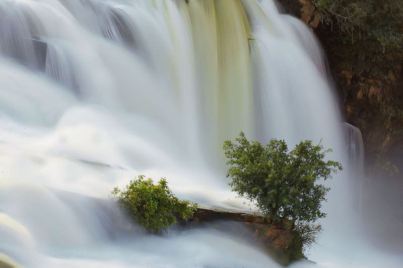 Standing strong. Photographer: Christo Opperman