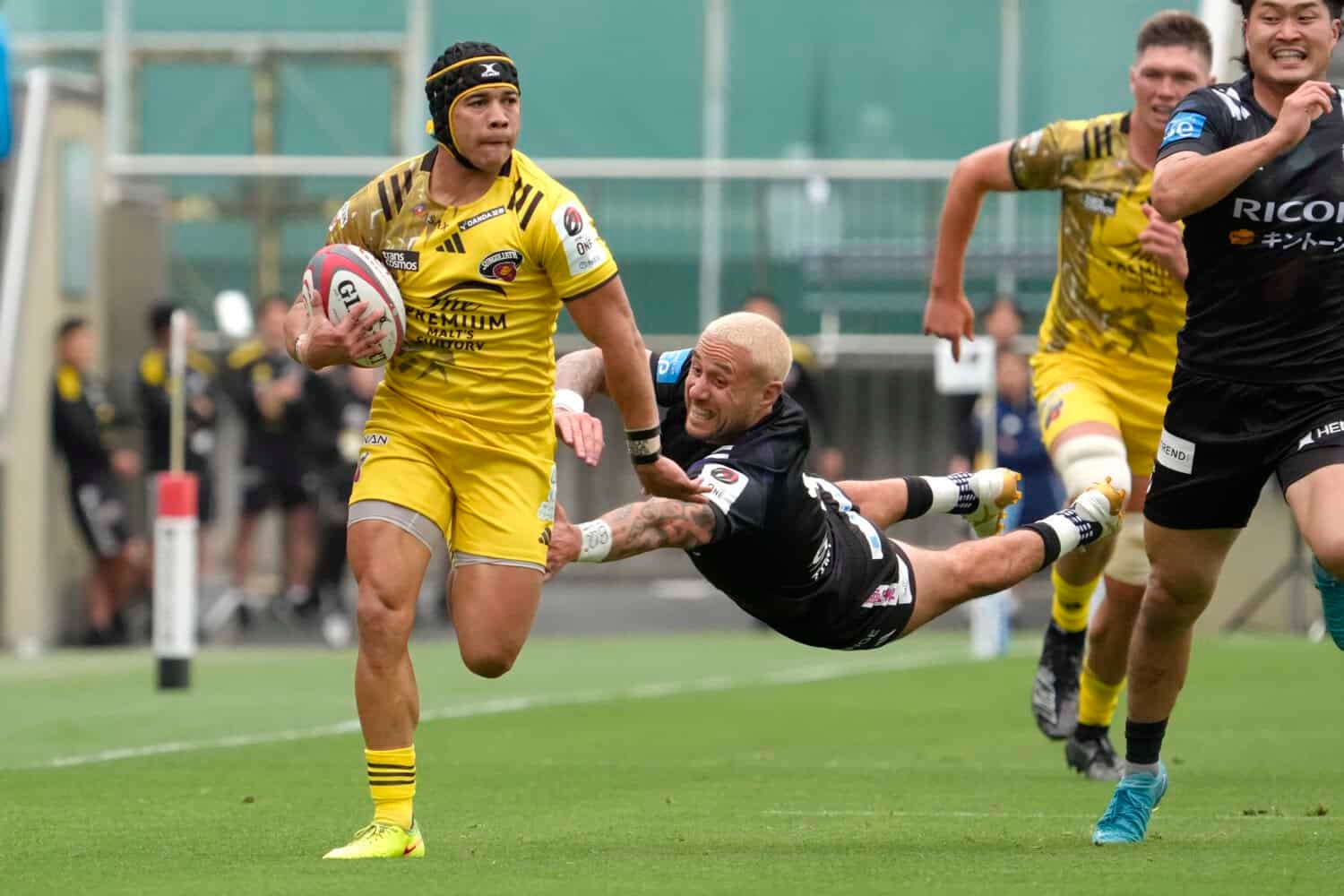 Cheslin Kolbe’s homecoming brings winning experience for Stormers and Boks