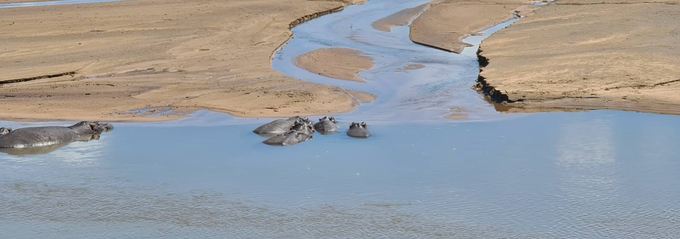 The Kruger National Park. (Photo: Google Maps)