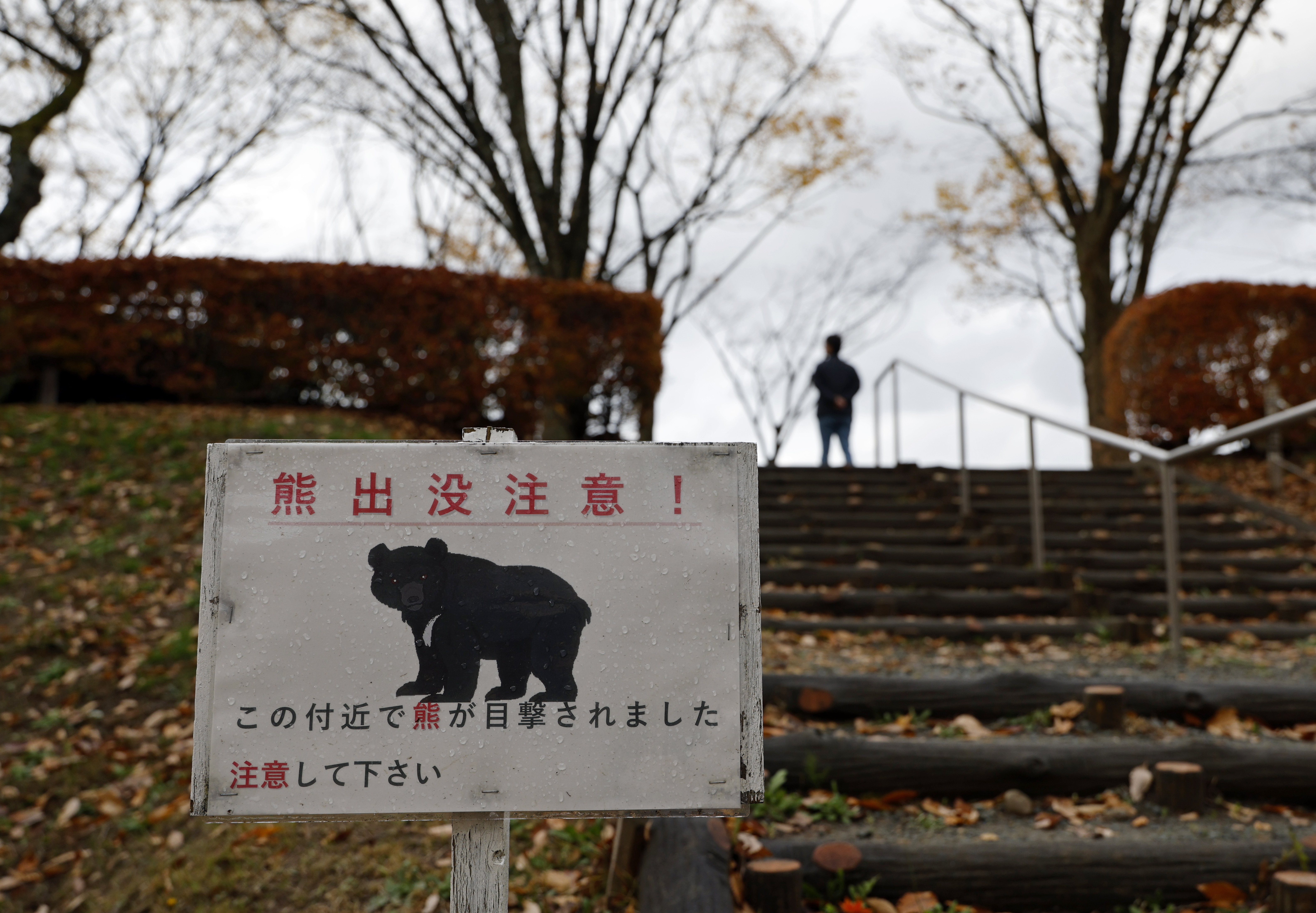 Police 'Bear Control Task Force' begins bear control operations using rifles