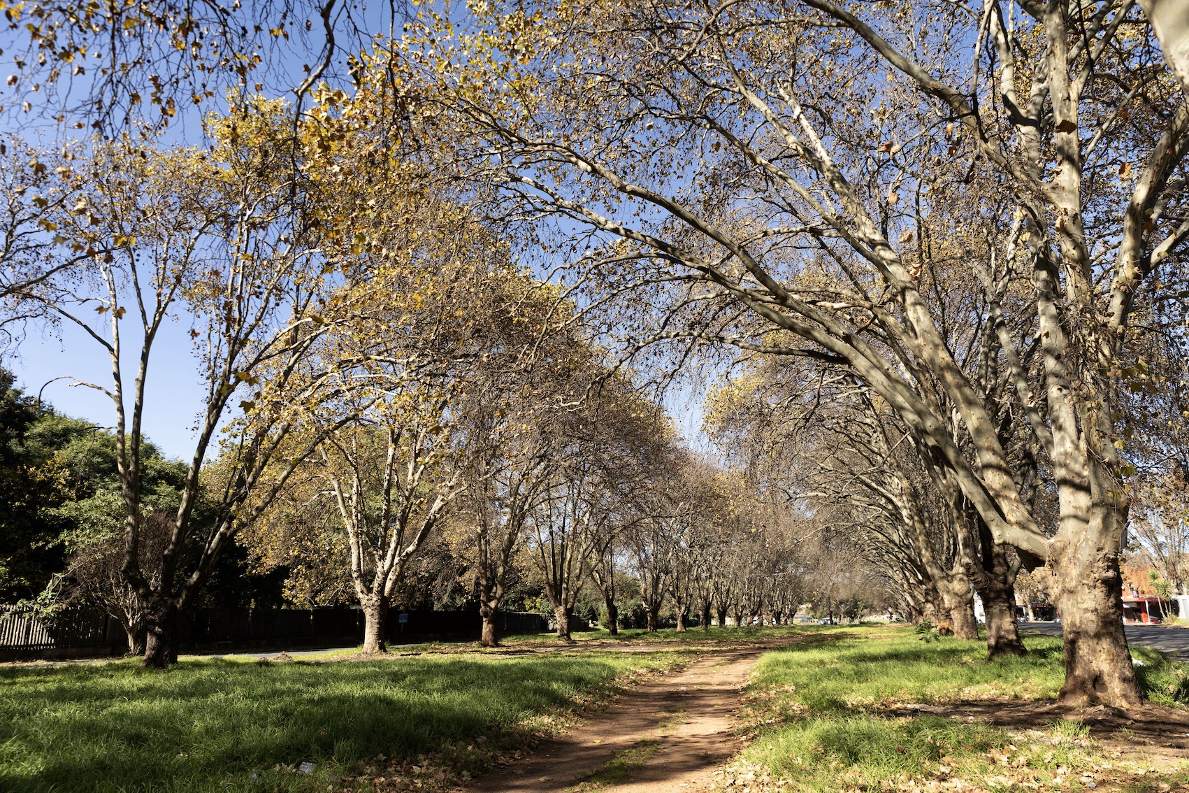 The park area opposite the Brixton Cemetery on 13 May 2026. (Photo: Our City News / James Oatway)