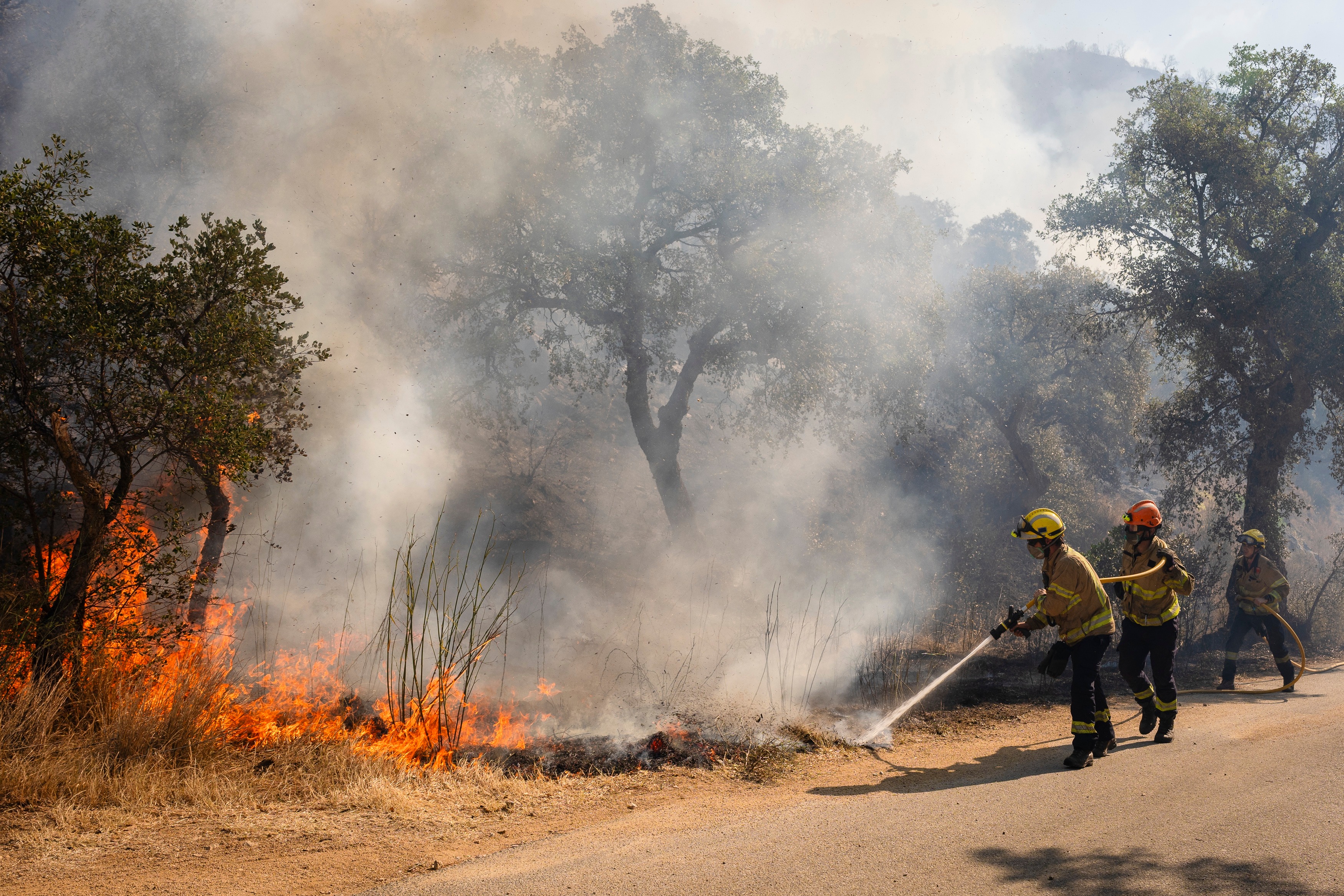 Eleven killed, 19 missing in one of Spain's deadliest wildfires
