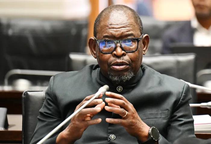 PIC board turmoil: Godongwana must step in to restore trust and continuity