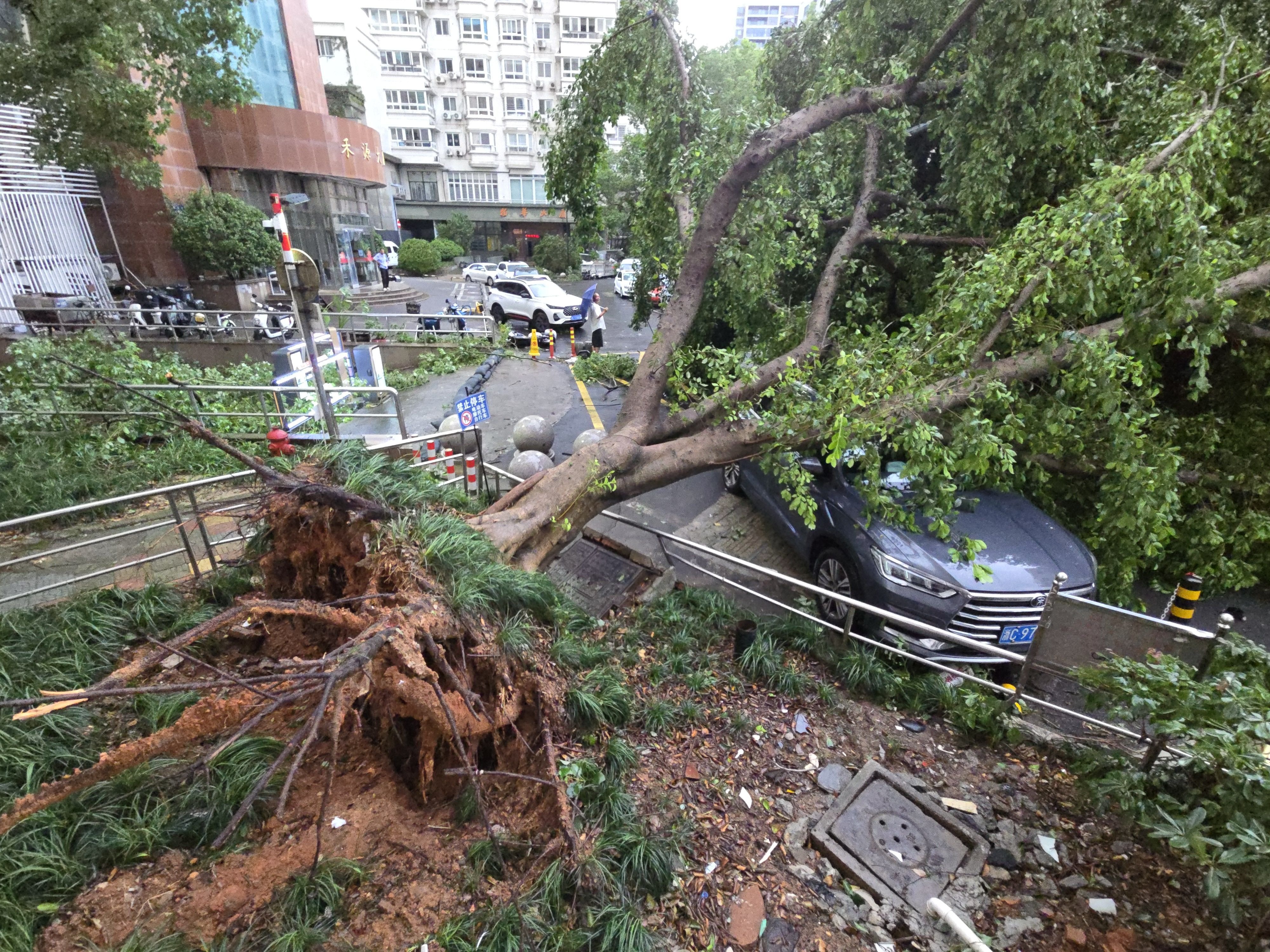 Typhoon Dolphin floods central China, puts Beijing on alert for heavy rain