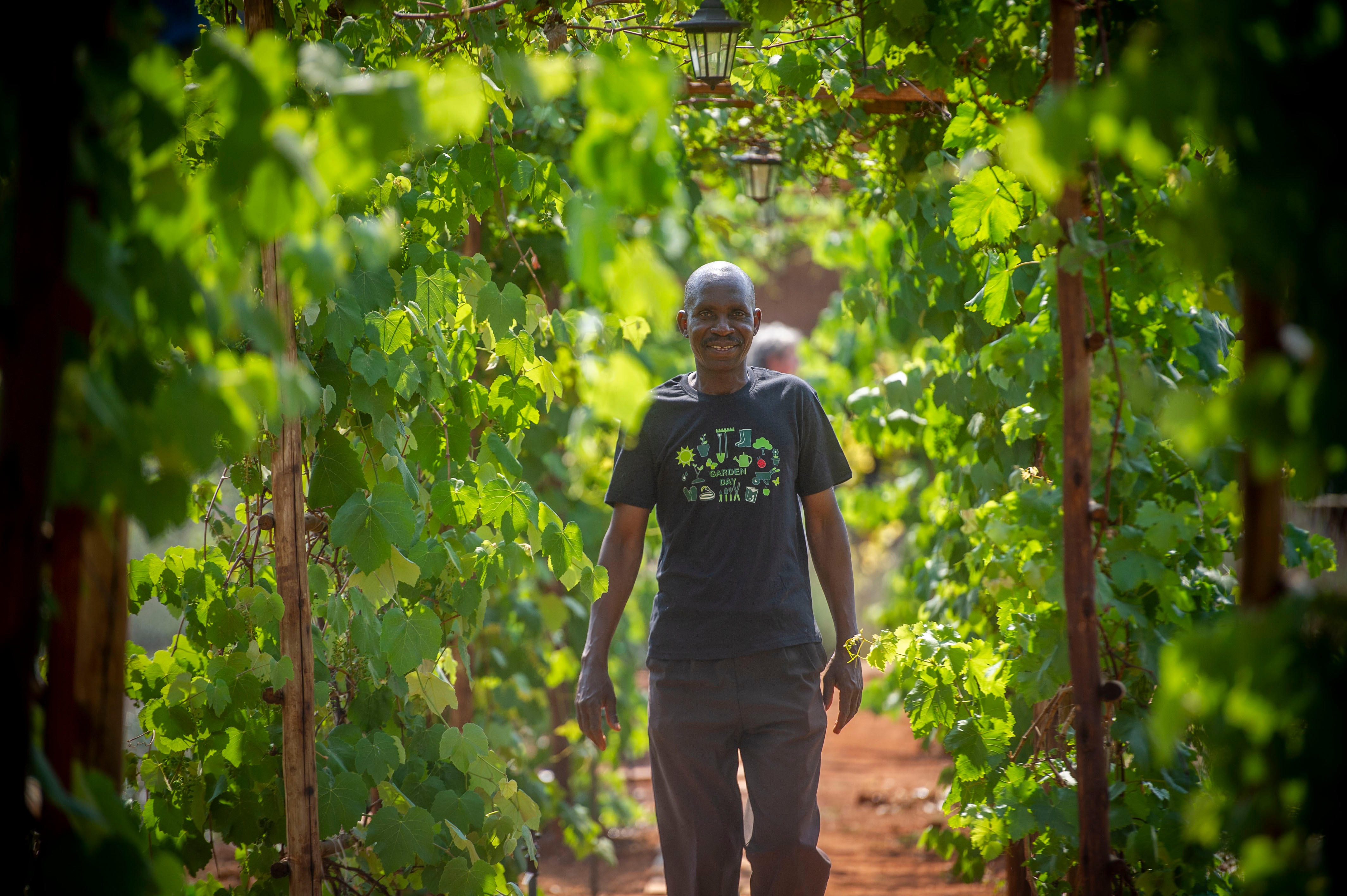 How local parks and community gardens can help cities adapt to climate change