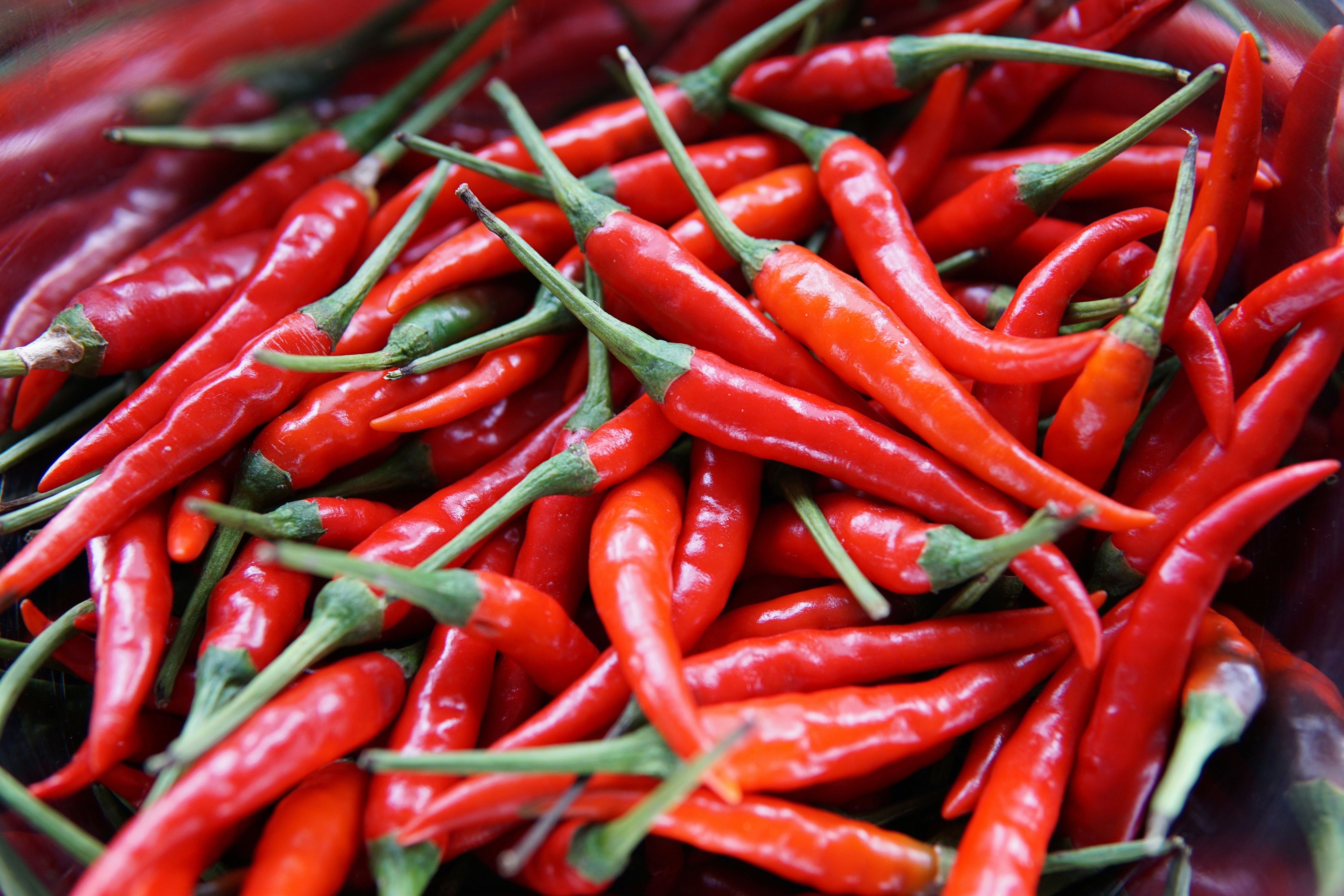 FOOD BABBLE: Every dish has a face, and other peri-hot insights