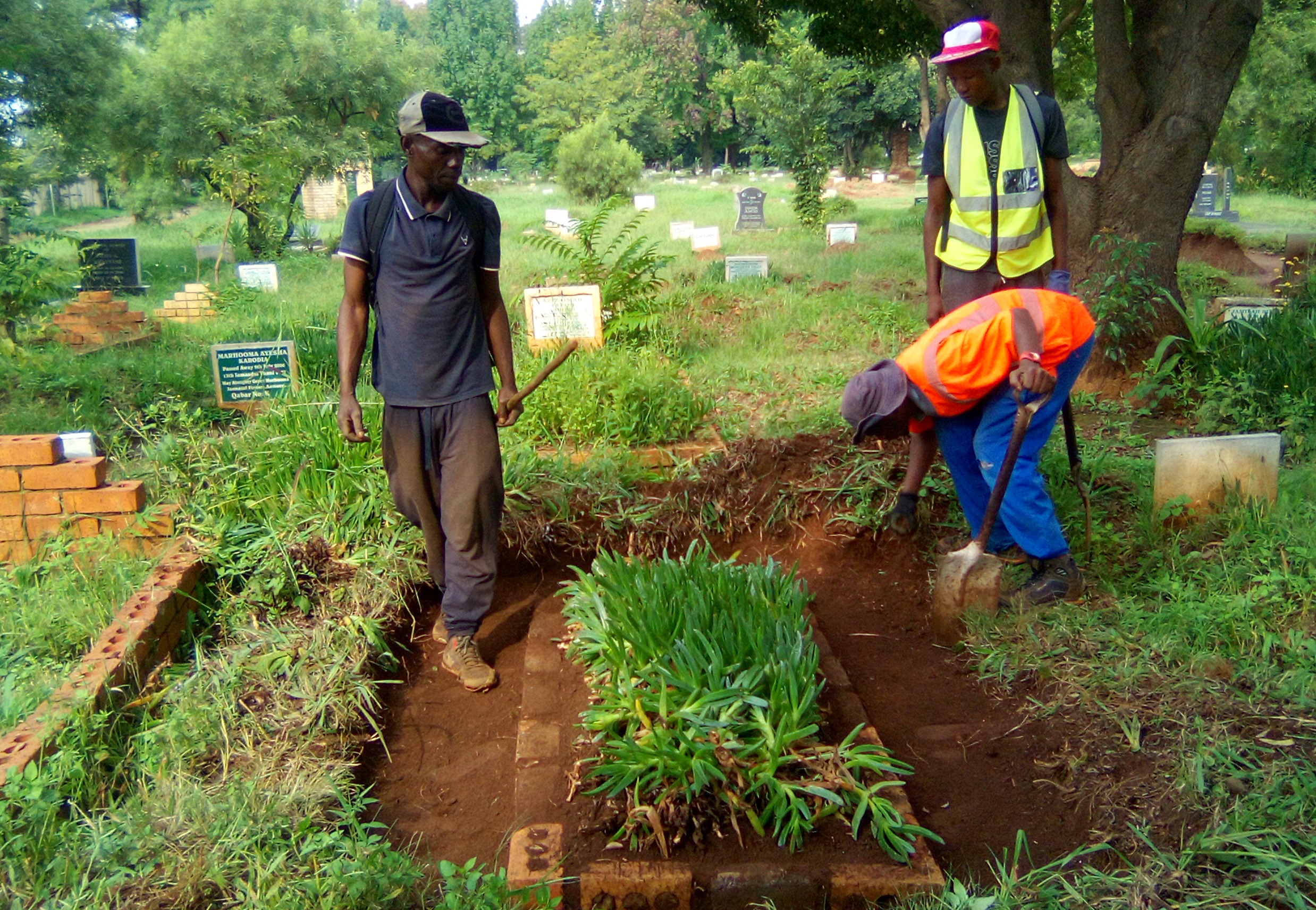 Avalon Cemetery graves