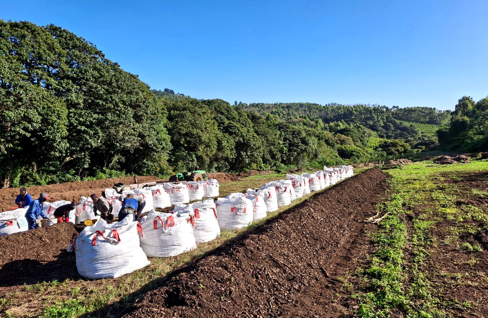 Daniélle Fertiliser prices