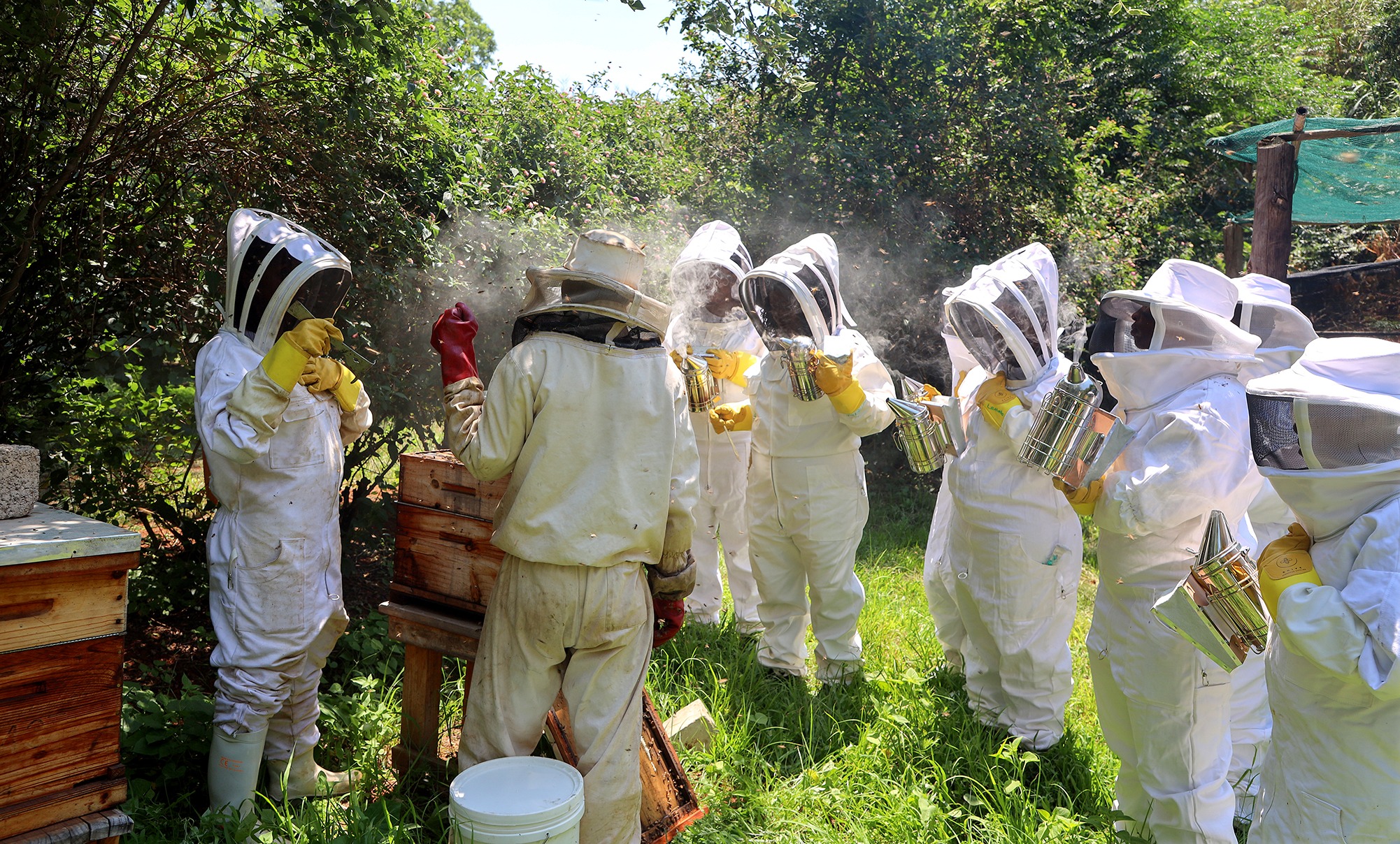 Daniélle Beekeepers