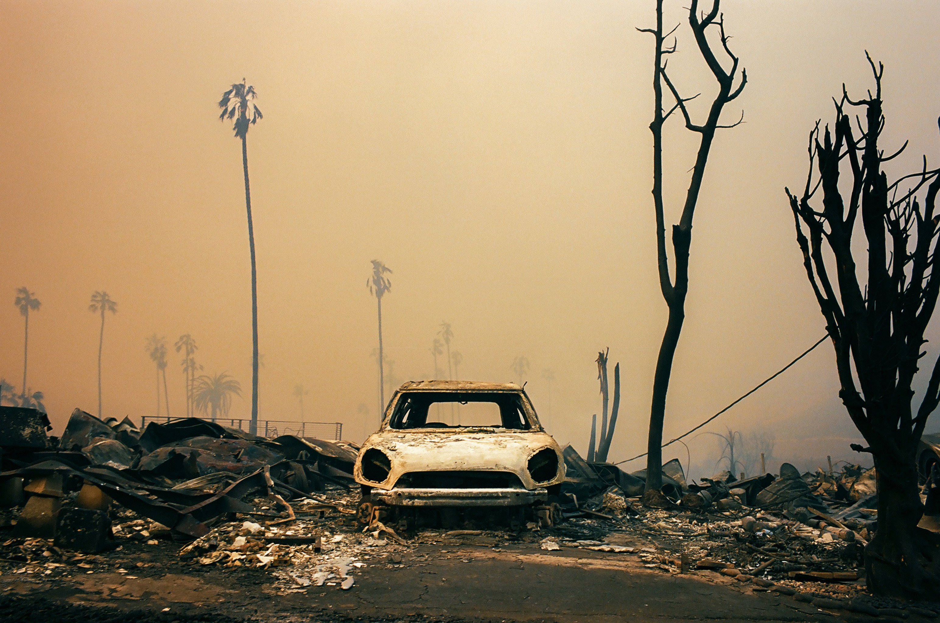 Sony World Competition — The year's best environmental photography 