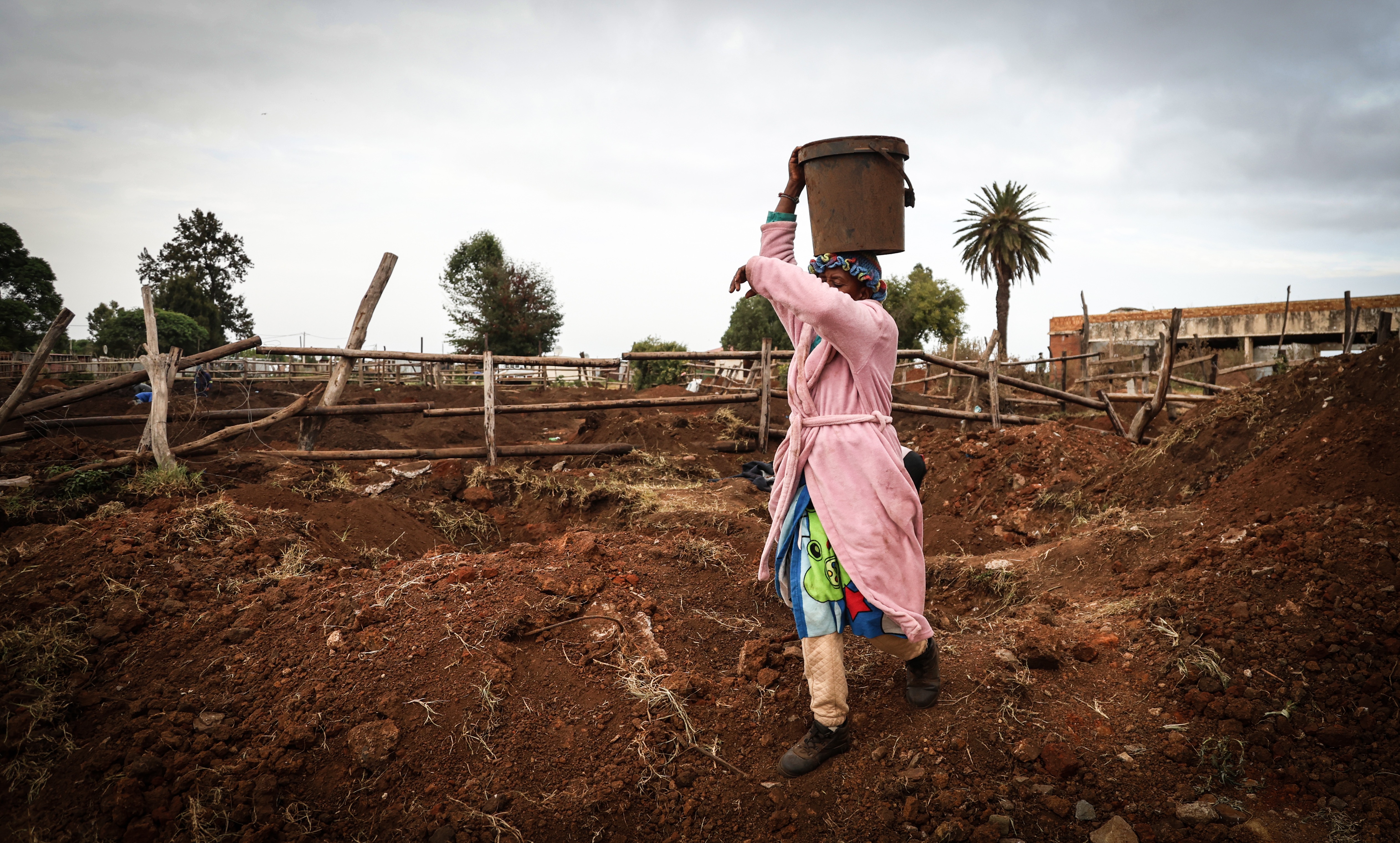 Felix-Photo Essay-Gold fever