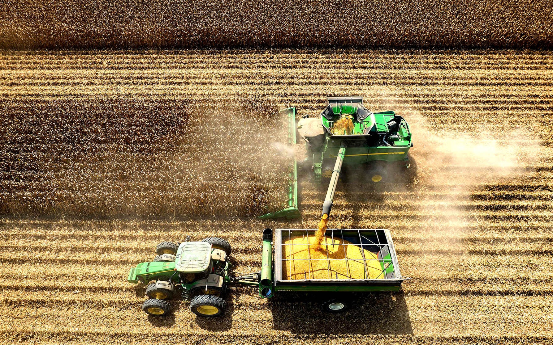 CONSUMER RELIEF: GMOs and precision farming bring food prices down.