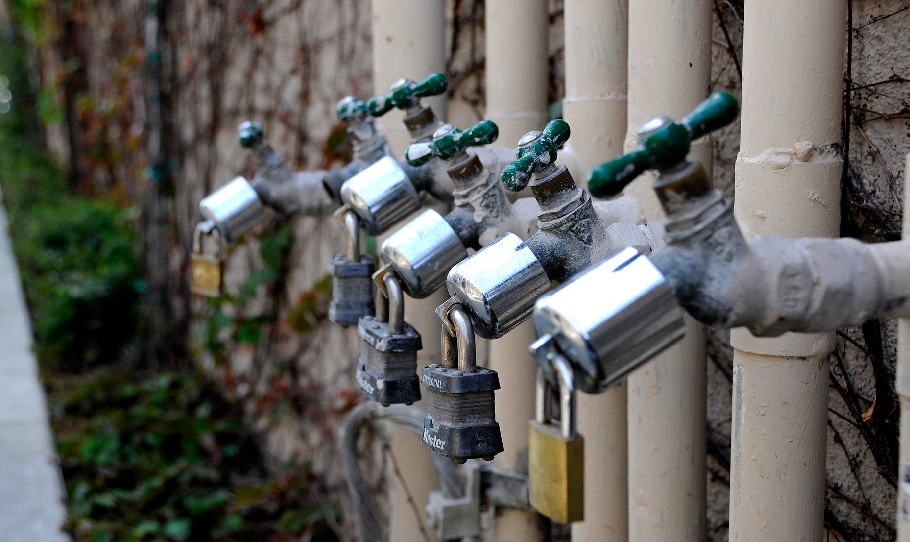 Tony water bankruptcy