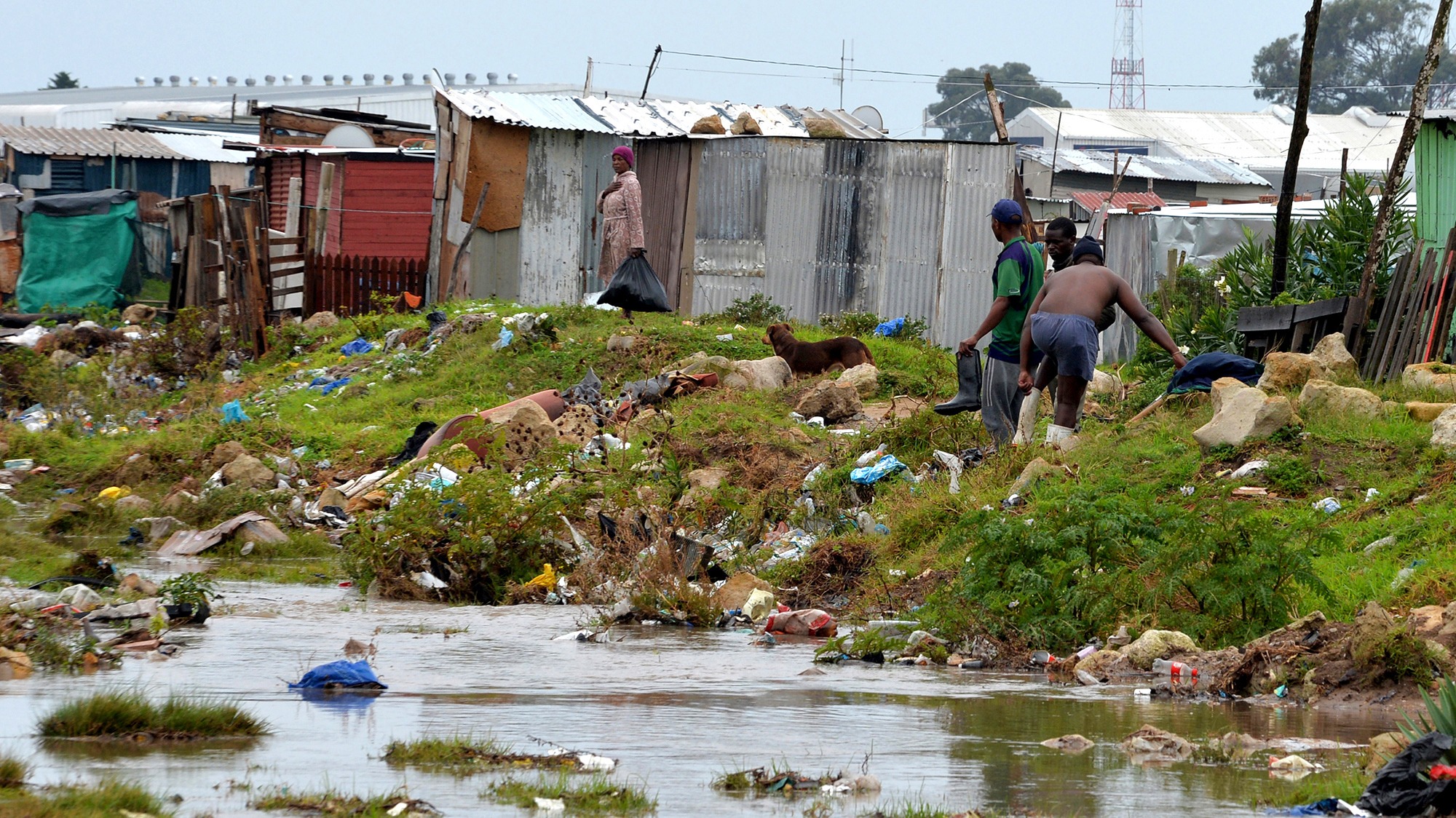 Walmer township in Gqeberha is one of the informal settlements that stands to be adversely affected by the withholding of R440m in grants to Nelson Mandela Bay. (Photo: Deon Ferreira)