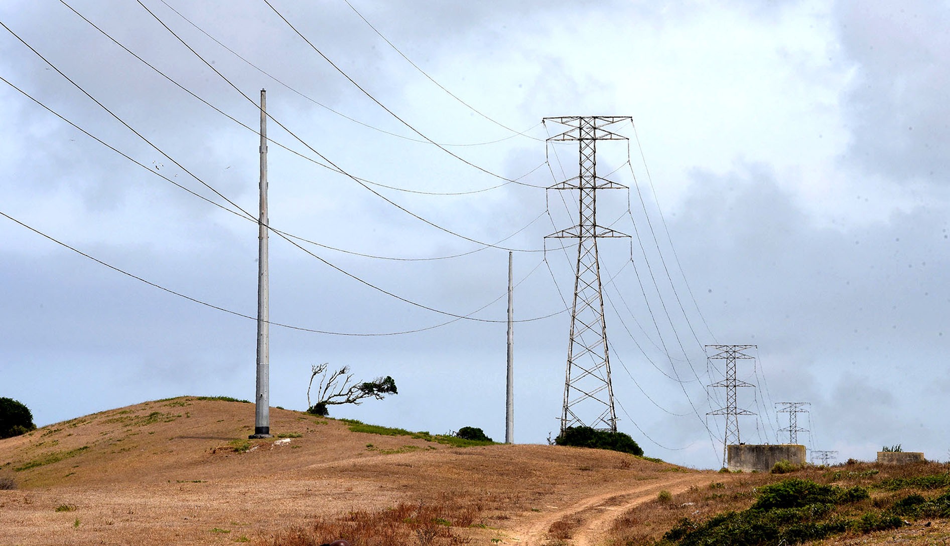 Monopoles planted eight years ago but never put into use are seen next to the high-risk pylons on the Sardinia Bay line in Nelson Mandela Bay on 5 February. (Photo: Deon Ferreira)