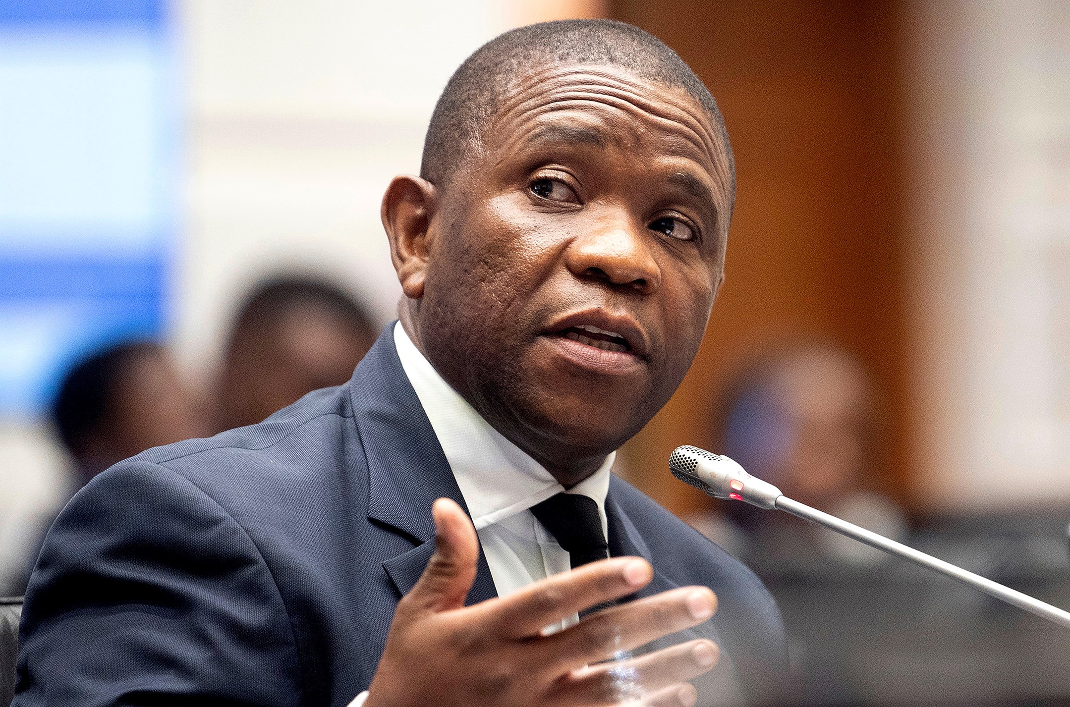 Parliament’s ad hoc committee has begun wrapping up and revealing its findings on accusations that a drug cartel has infiltrated South Africa’s political arena and criminal justice system.