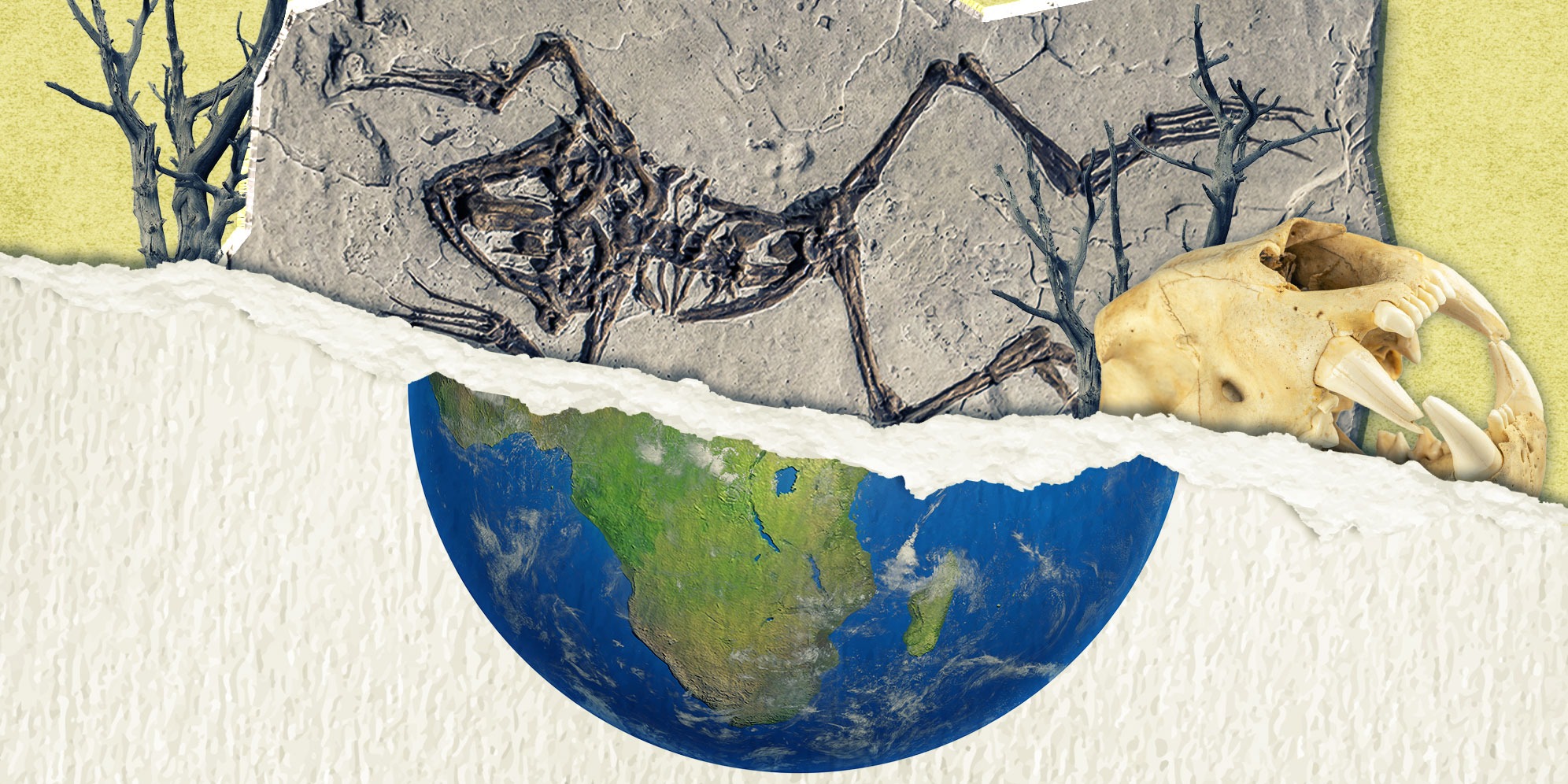 Illustrative Image: Skeletons. (iStock) | Earth. (Image: Freepik) | Torn paper. (Image: Freepik) | (By Daniella Lee Ming Yesca) 