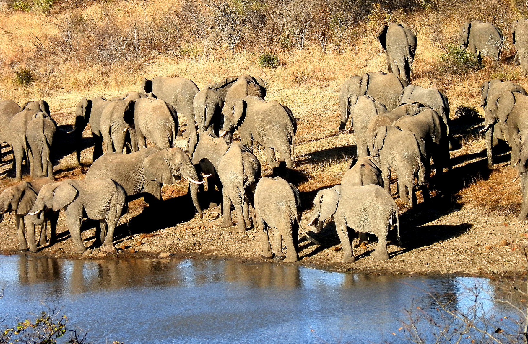 ROVING REPORTERS: The science of sharing land: How