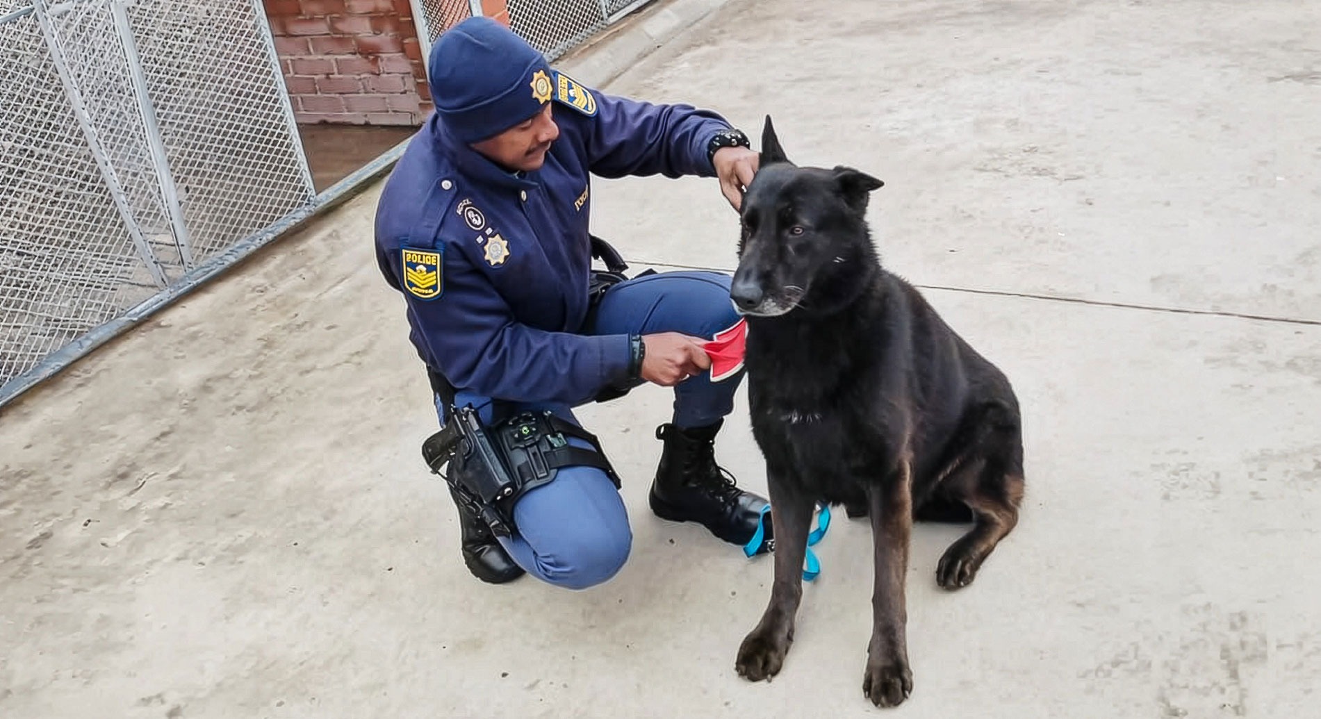 Police seek missing K9 dog Floppy after armed robbery near Mdantsane