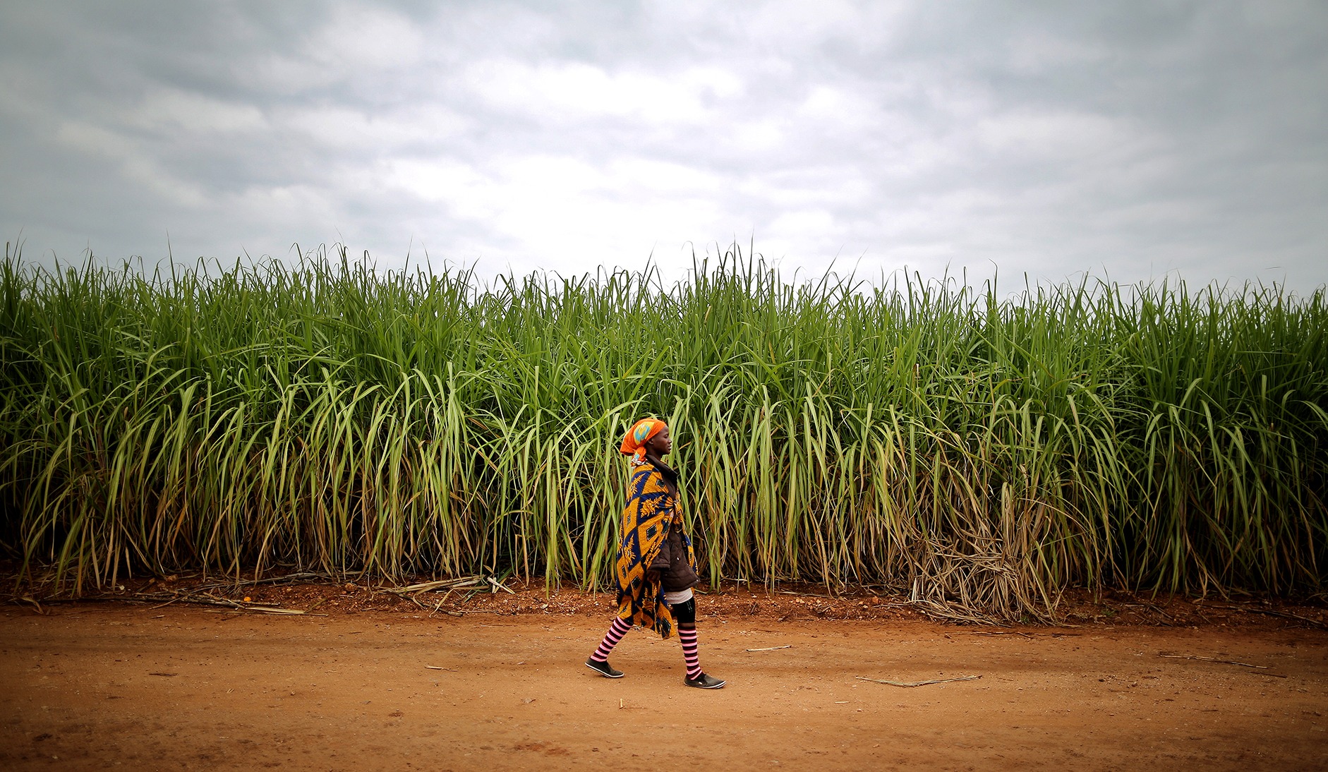 MC-Sugar-Tax-Imports MAIN