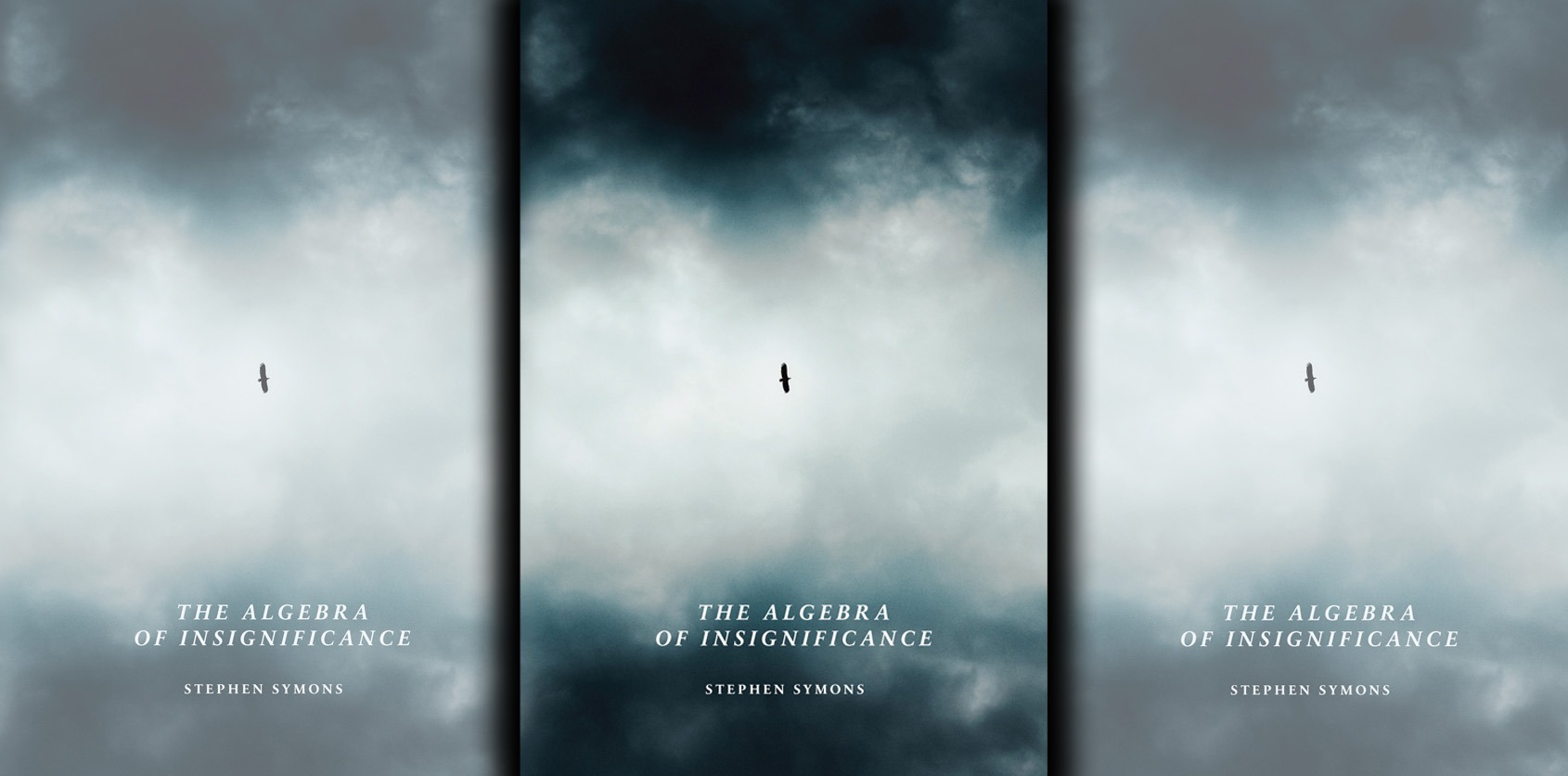 After the Olive Schreiner Award: Stephen Symons and The Algebra of Insignificance