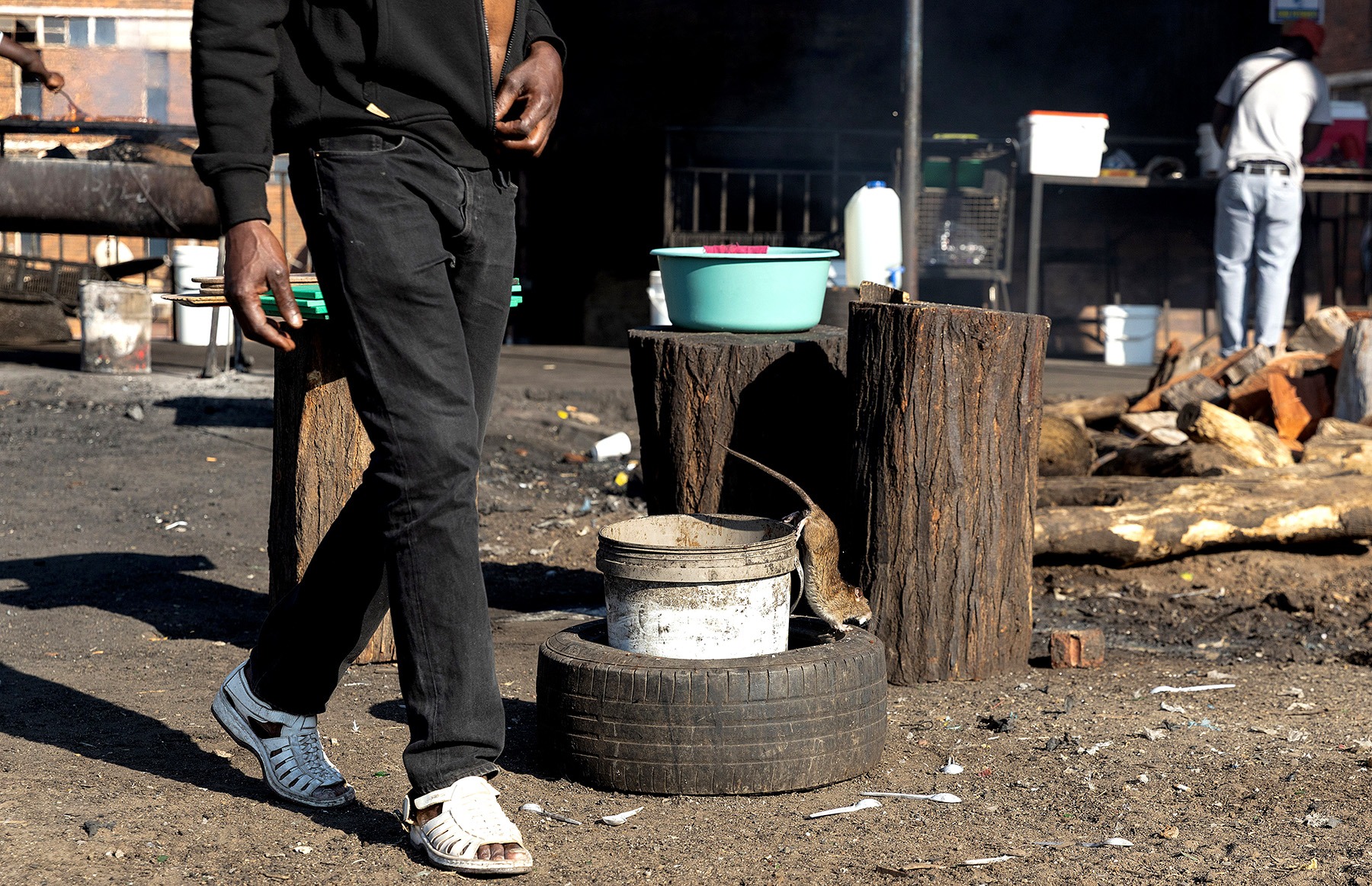 A rat looks for food at a shishanyama at Madala Hostel in Alexandra township, Johannesburg, South Africa. August 29, 2025. (Photo: OUR CITY NEWS / James Oatway)