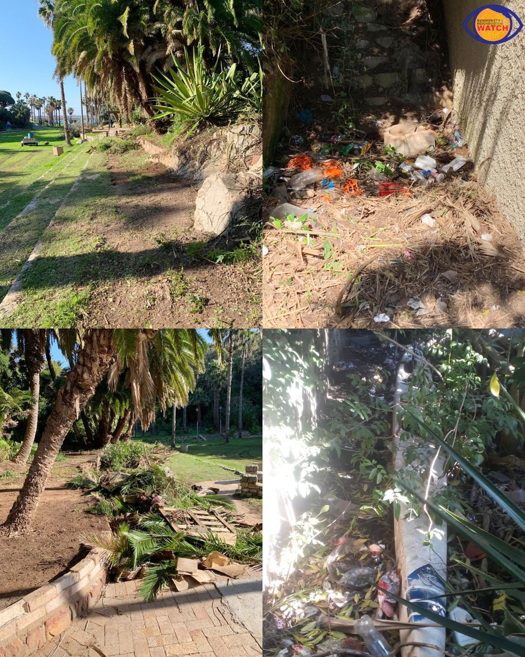 Residents reclaim iconic Gqeberha beachfront park after years of neglect