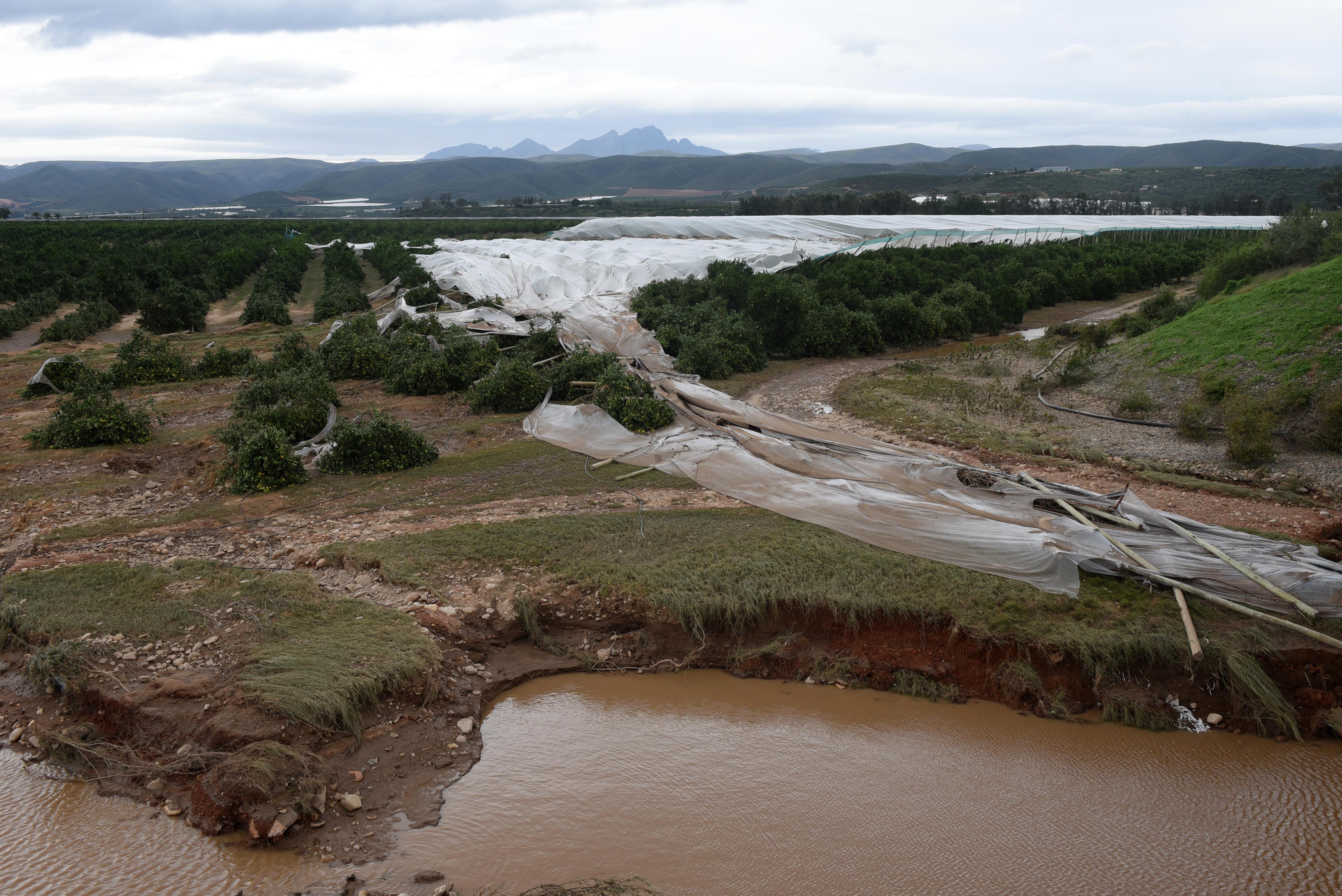 Ceres experienced a record-breaking storm, resulting in 333.2mm of rain in just one day, overwhelming the citrus-growing region. (BM-Ed-Ceres/Rain) 