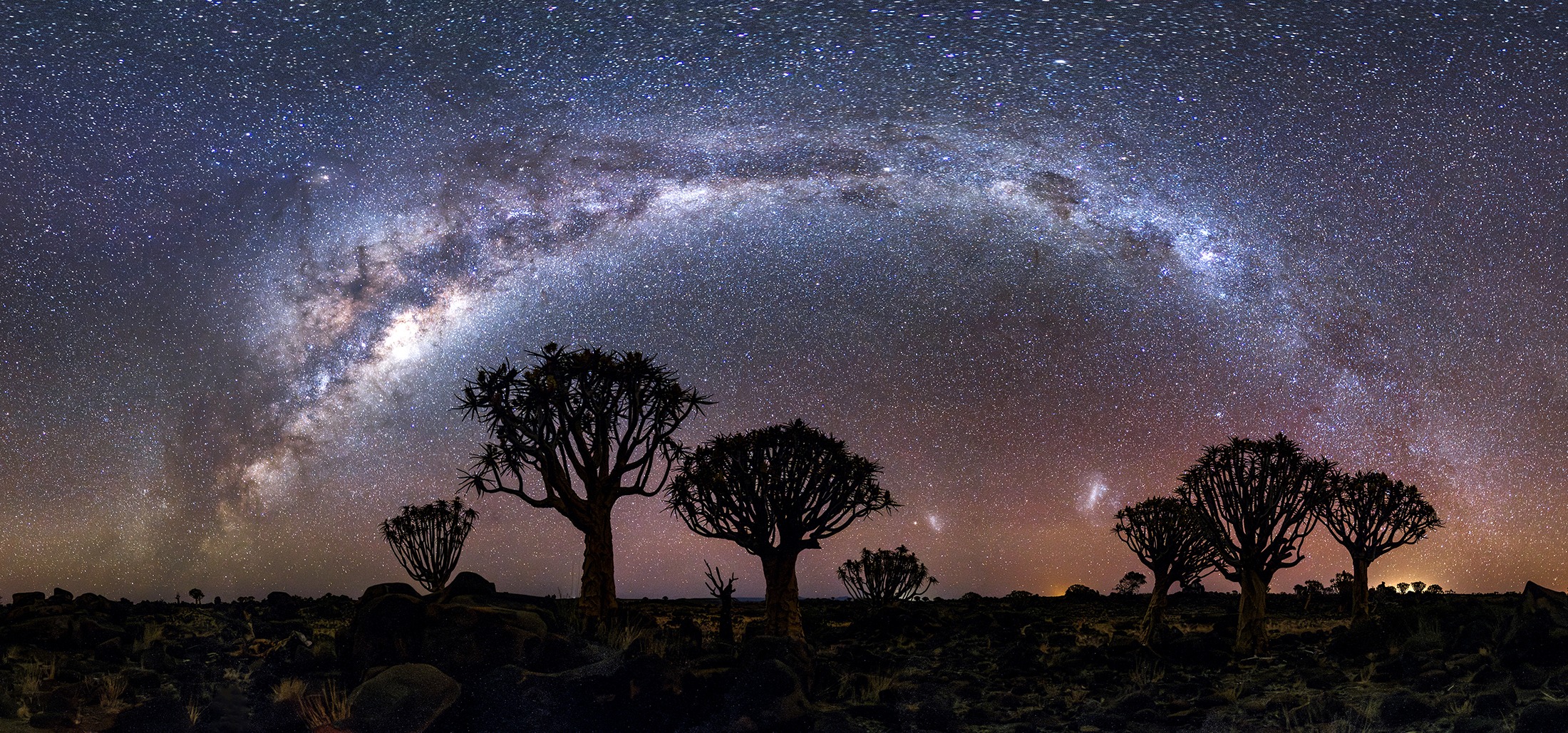 From stars to soil — ecologist Yadvinder Malhi brings physics to the living world