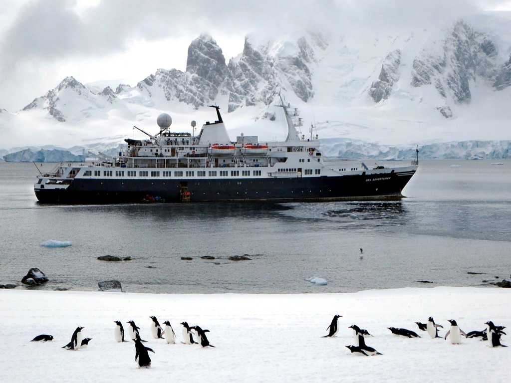 Antarctica’s endangered emperor penguins under siege from thinning ice and cruise ships