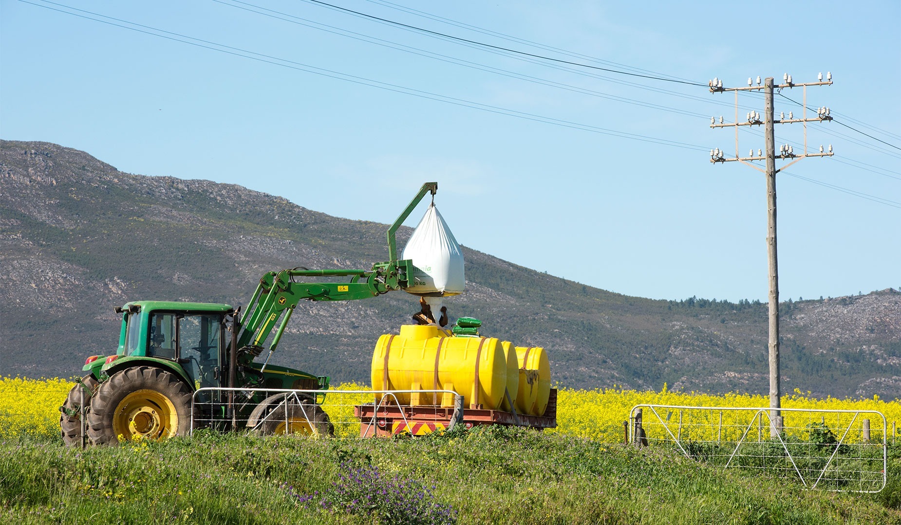 Bread & Wine: The chemical trail through wheat and grapes (Part Five)