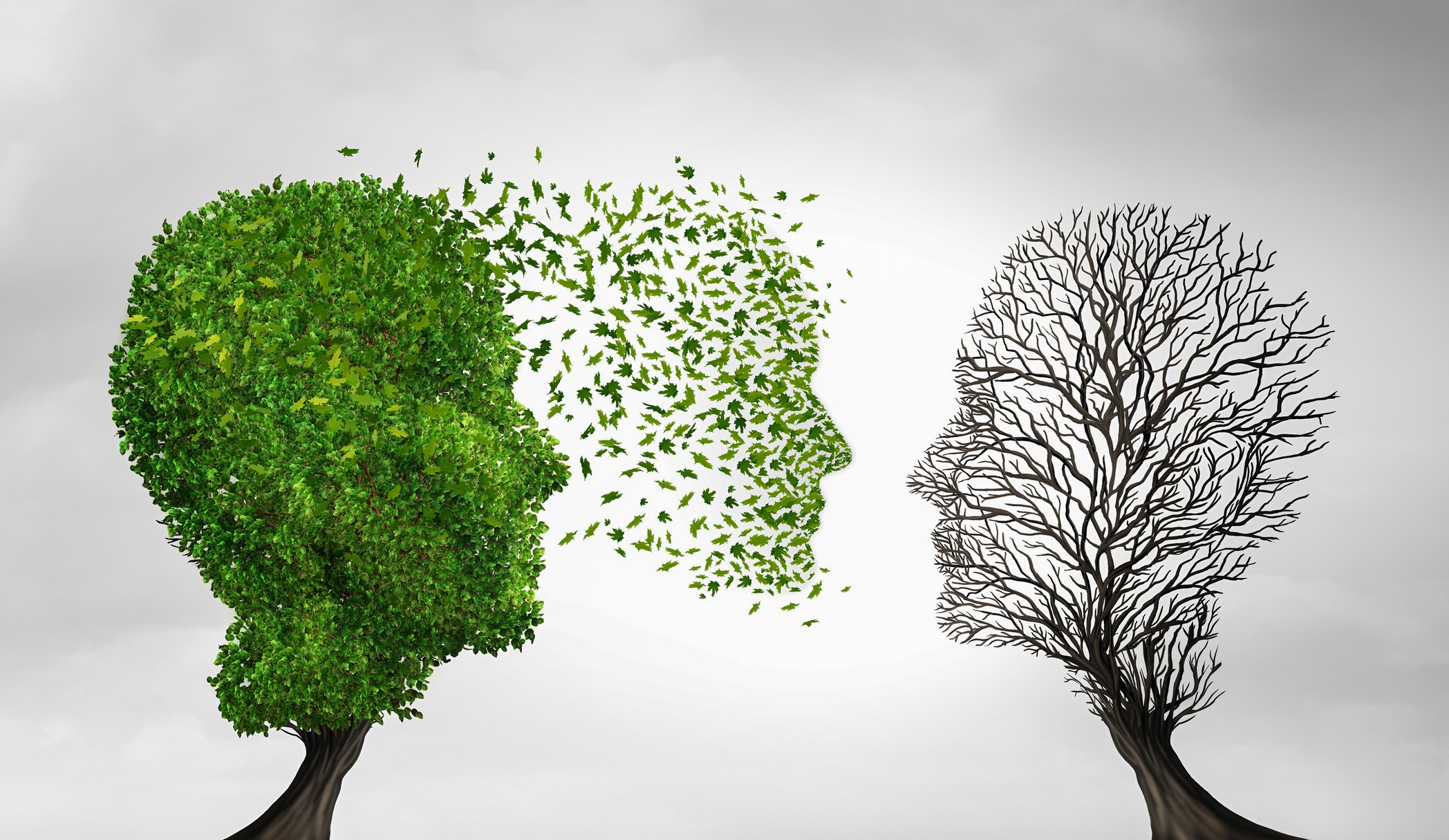 There is an urgent need for climate adaptation strategies in Africa, particularly for marginalised communities facing severe infrastructure failures. (oped-zungu-climate adoption)