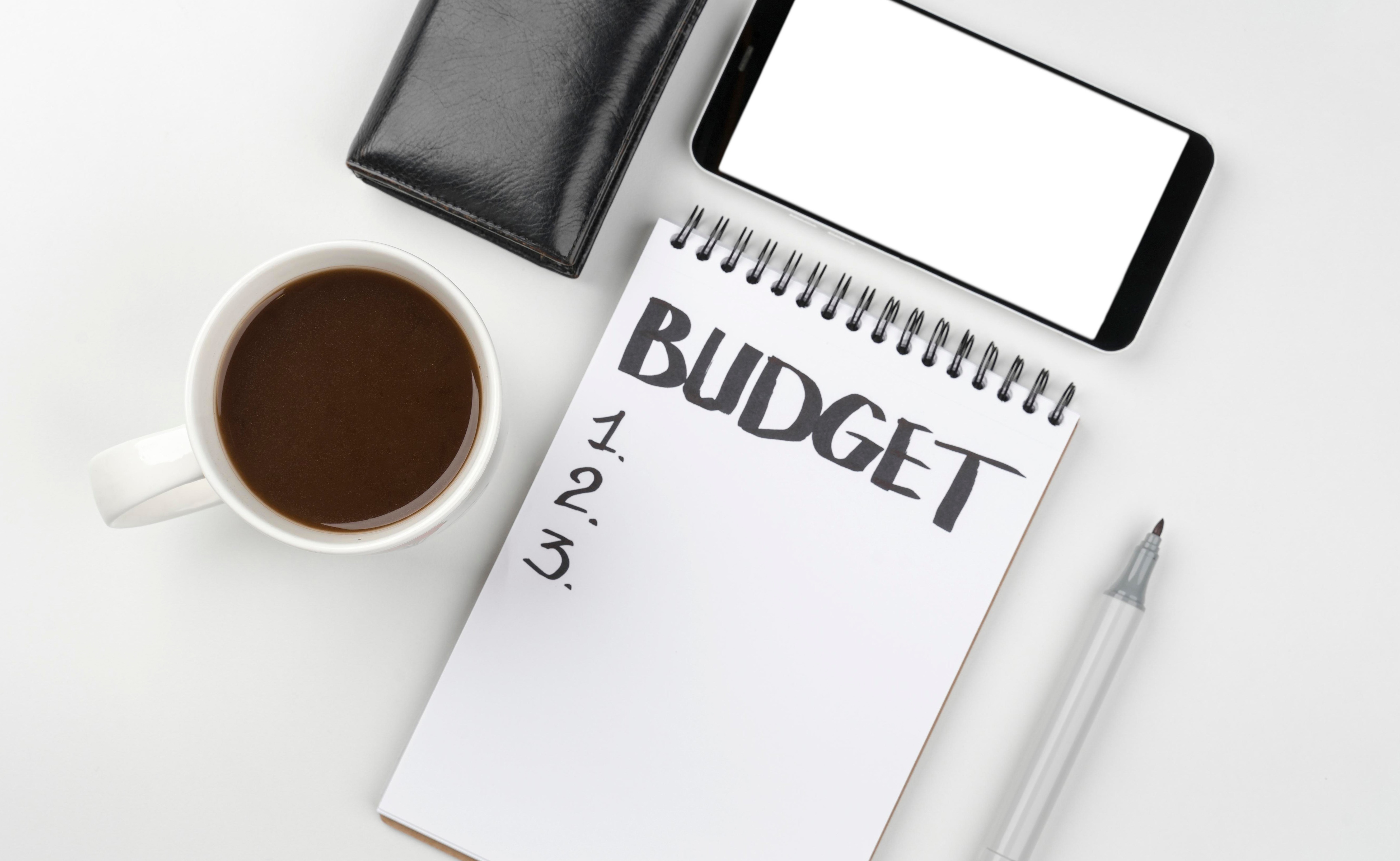 BM_budget_survival_guide