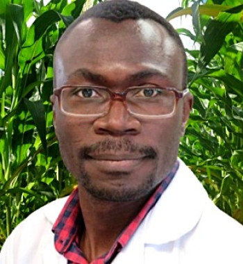 David Nsibo