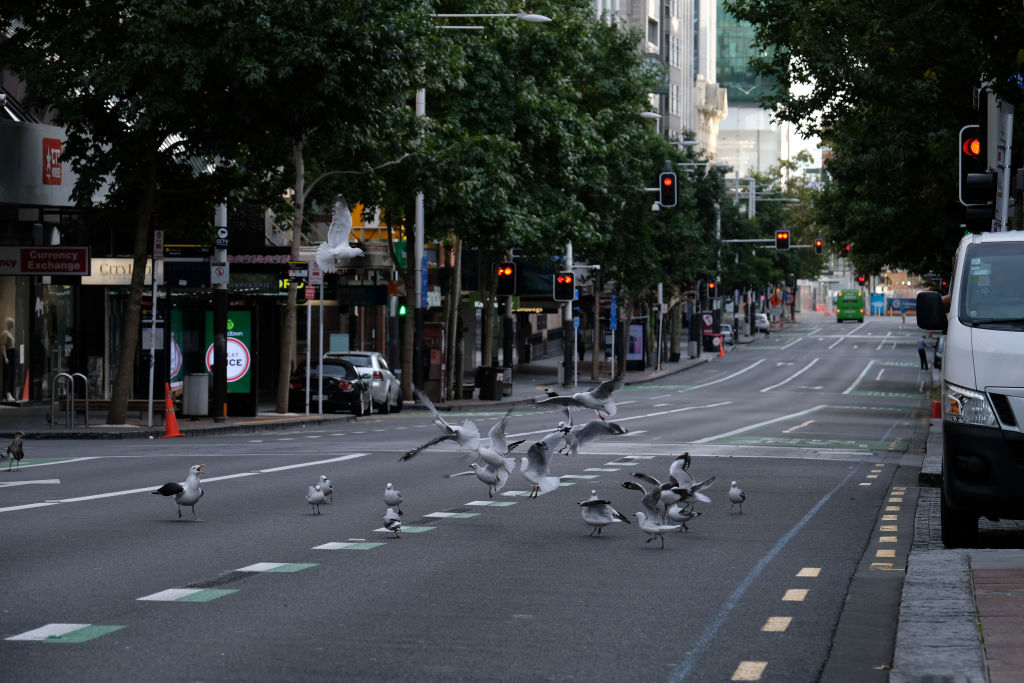 New Zealand In Lockdown As State Of National Emergency Comes Into Effect Amid Coronavirus Pandemic