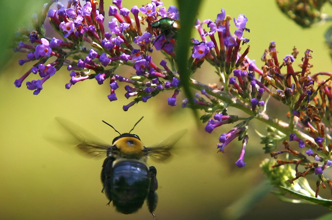 Oh science, where is your sting?