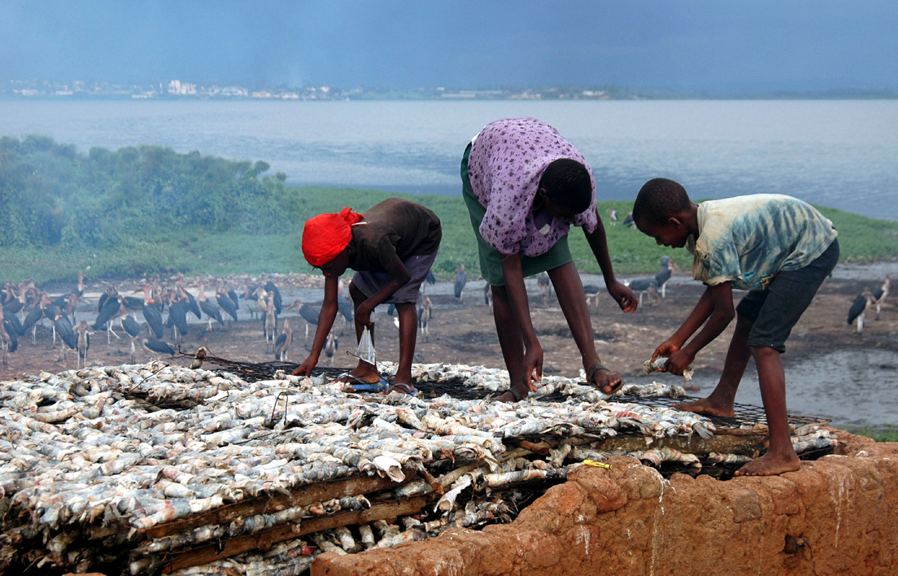 -PHOTO TAKEN 08MAR06-Women and children cure fish in the small Lake Victoria port of Ggaba, Uganda M..