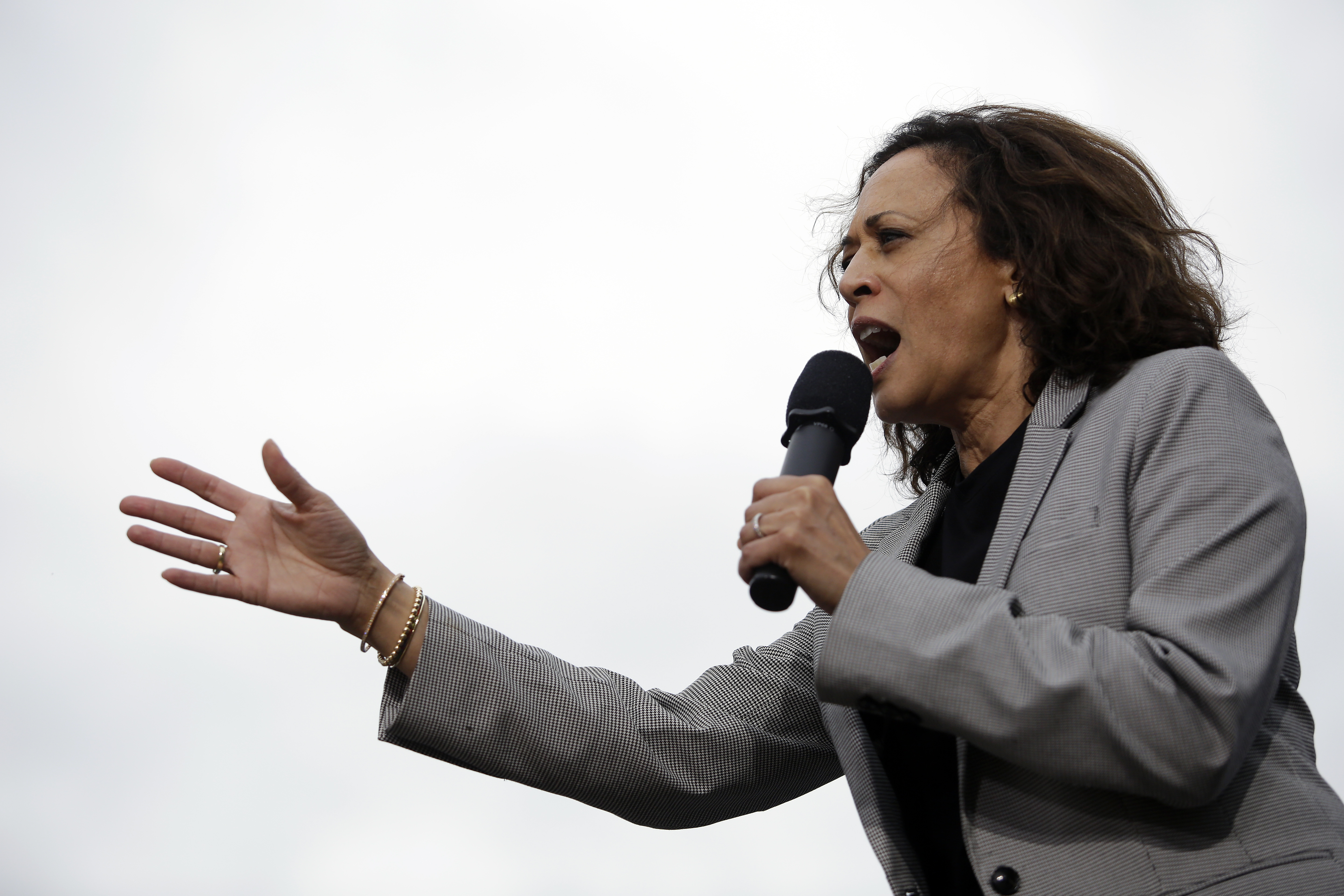 Presidential Candidates Attend Polk County Democrats' Steak Fry In Des Moines