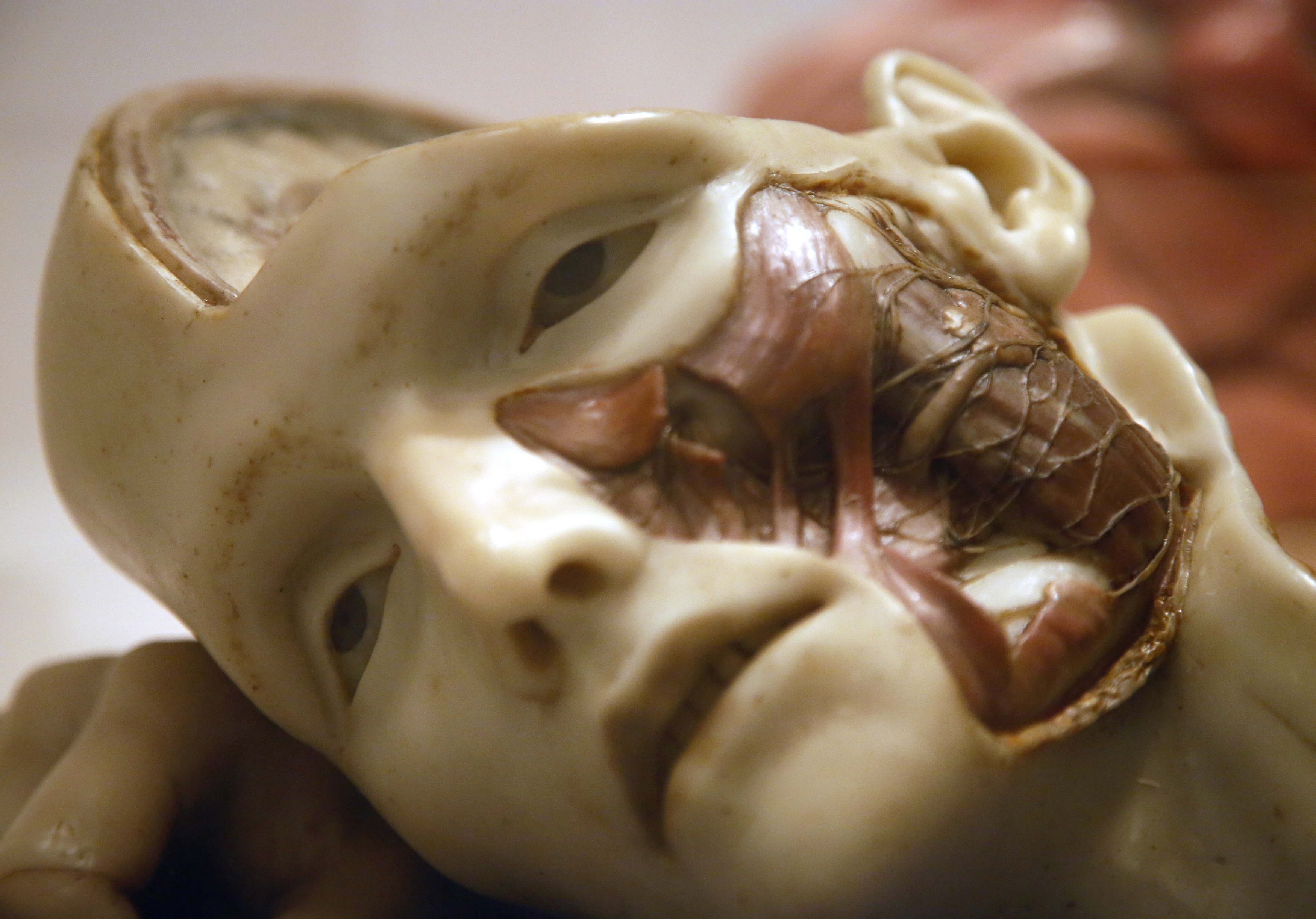 Turing: The centenary of a tragic mathematical genius